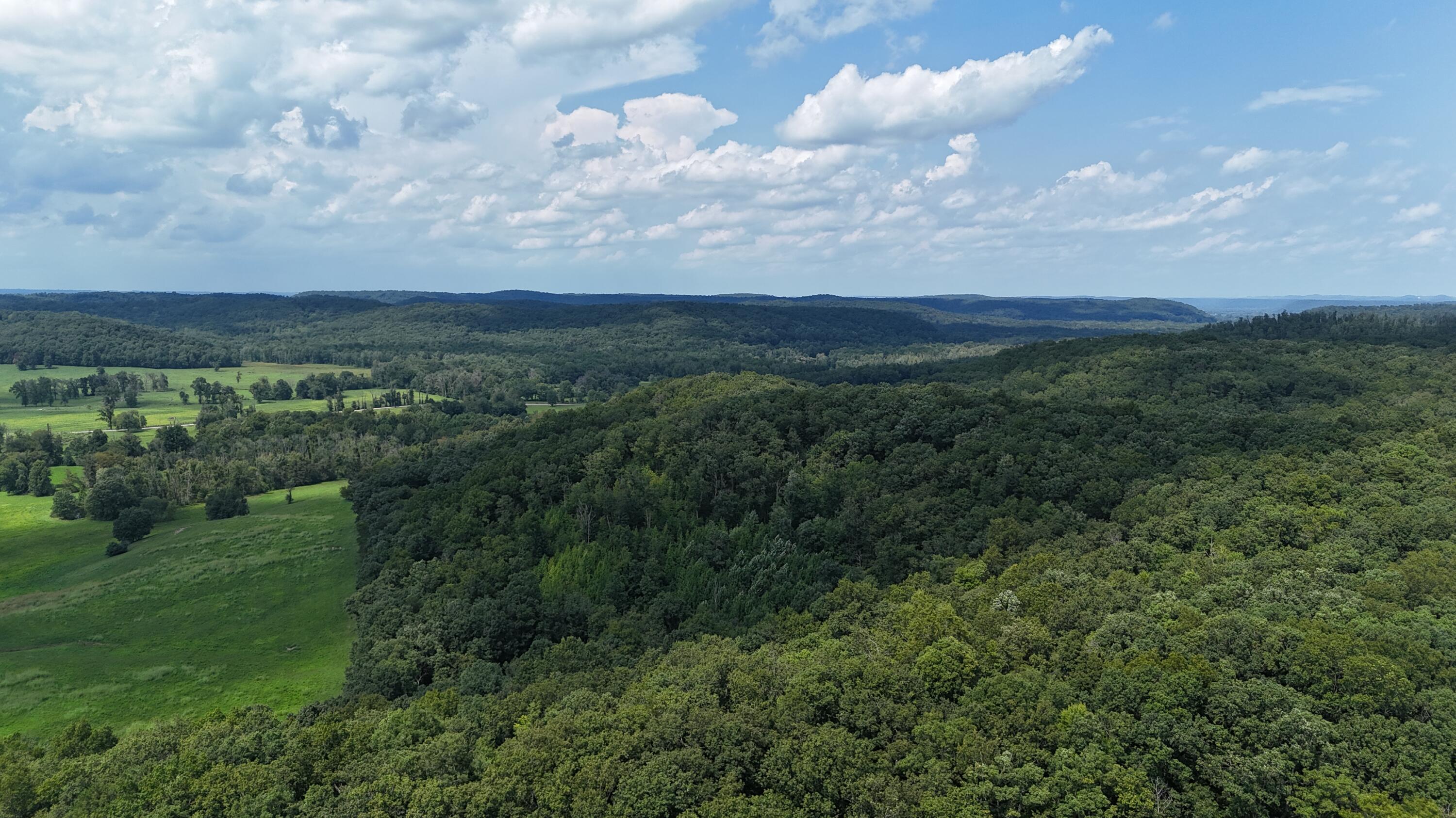 458 Pendleton Branch Road Property Photo 54