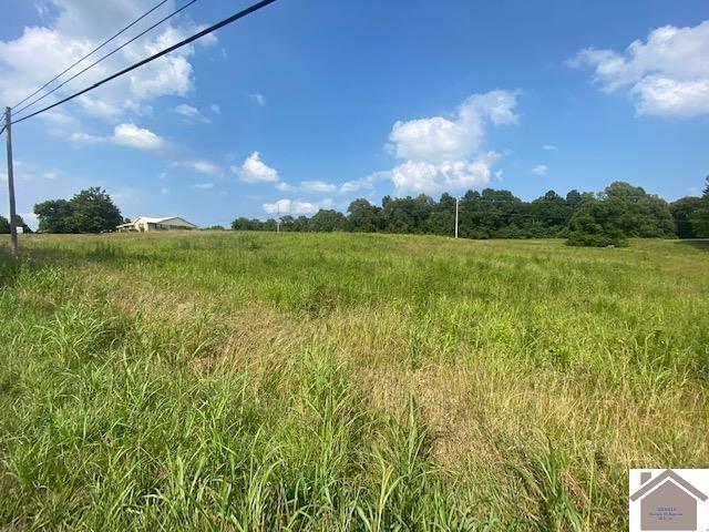 0 Slaughter Road Property Photo 2