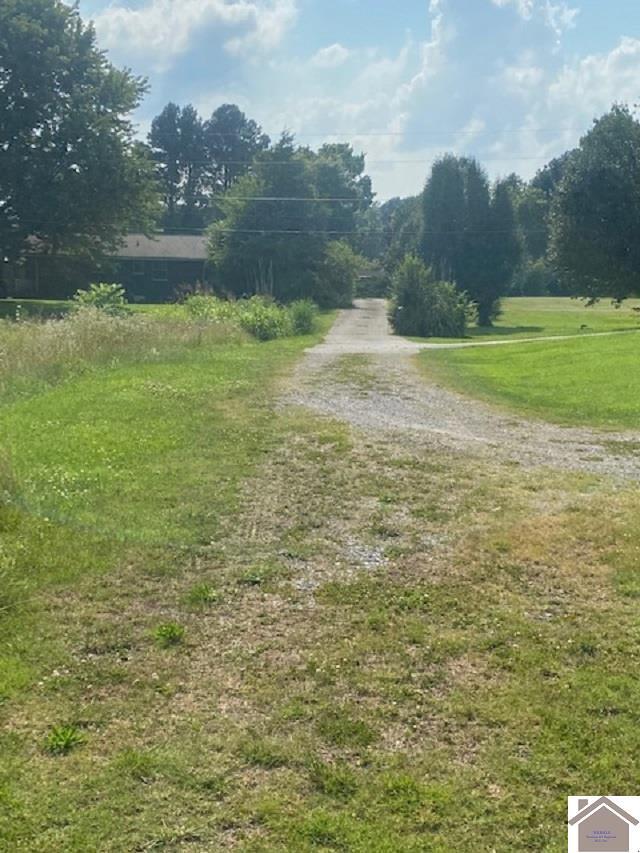 0 Slaughter Road Property Photo 4
