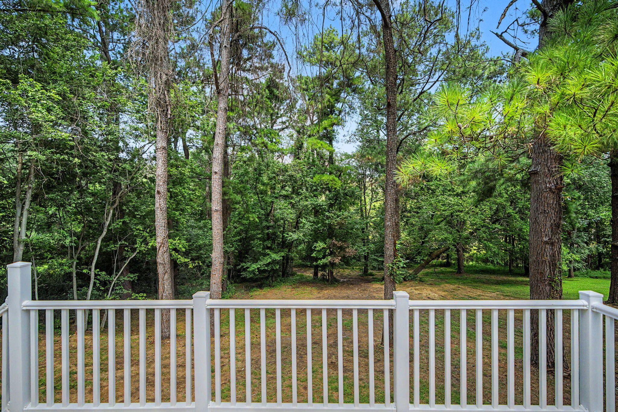 1165 Bleich Road Property Photo 54