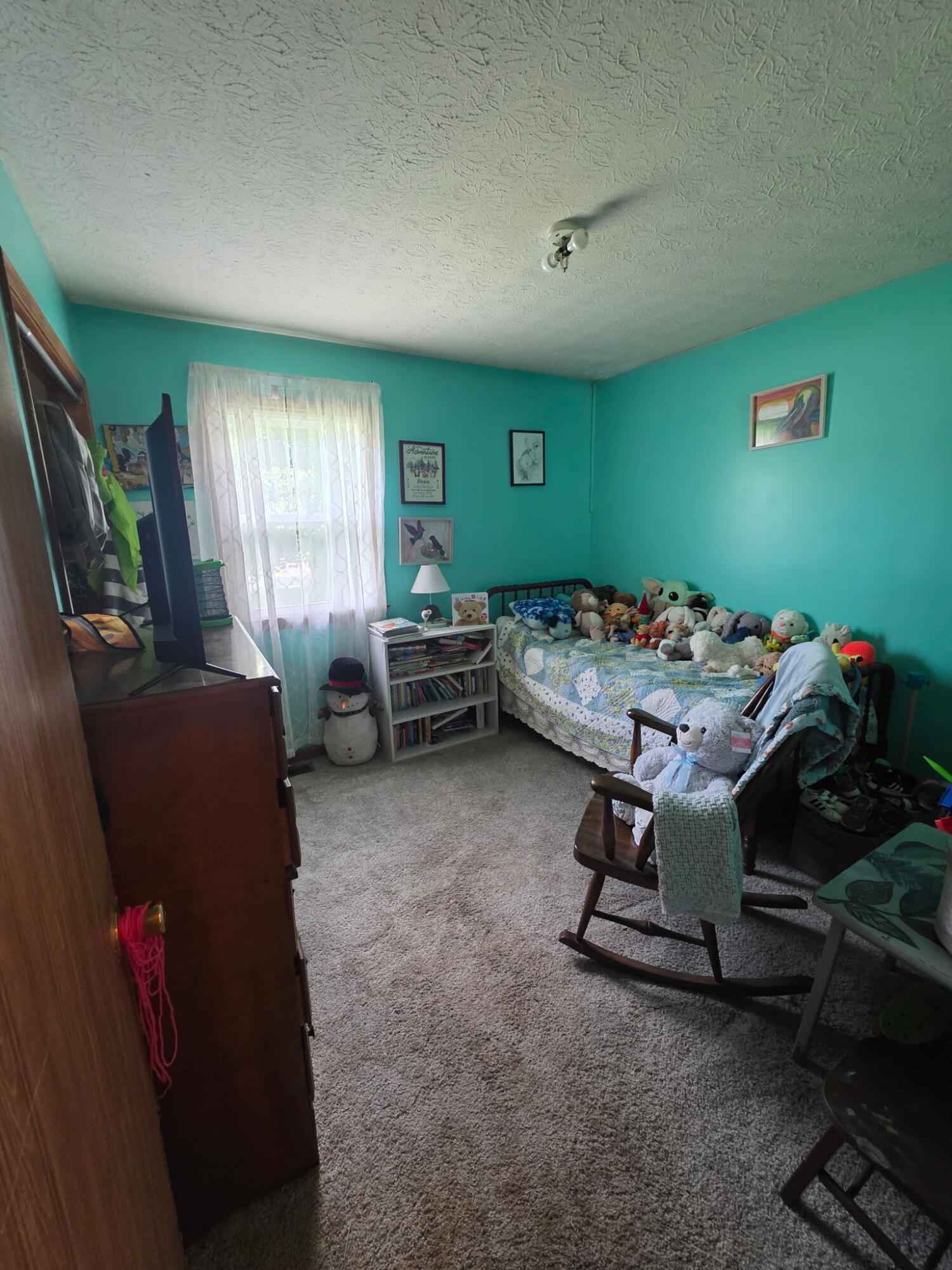 113 Durham Street Property Photo 6