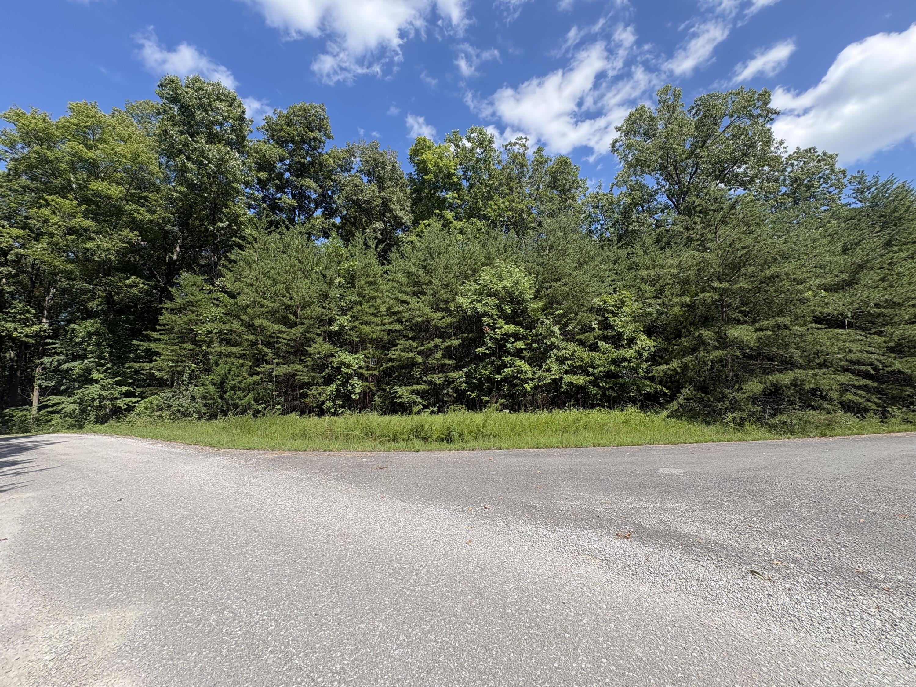77 Sandstone Point Trail Property Photo 3