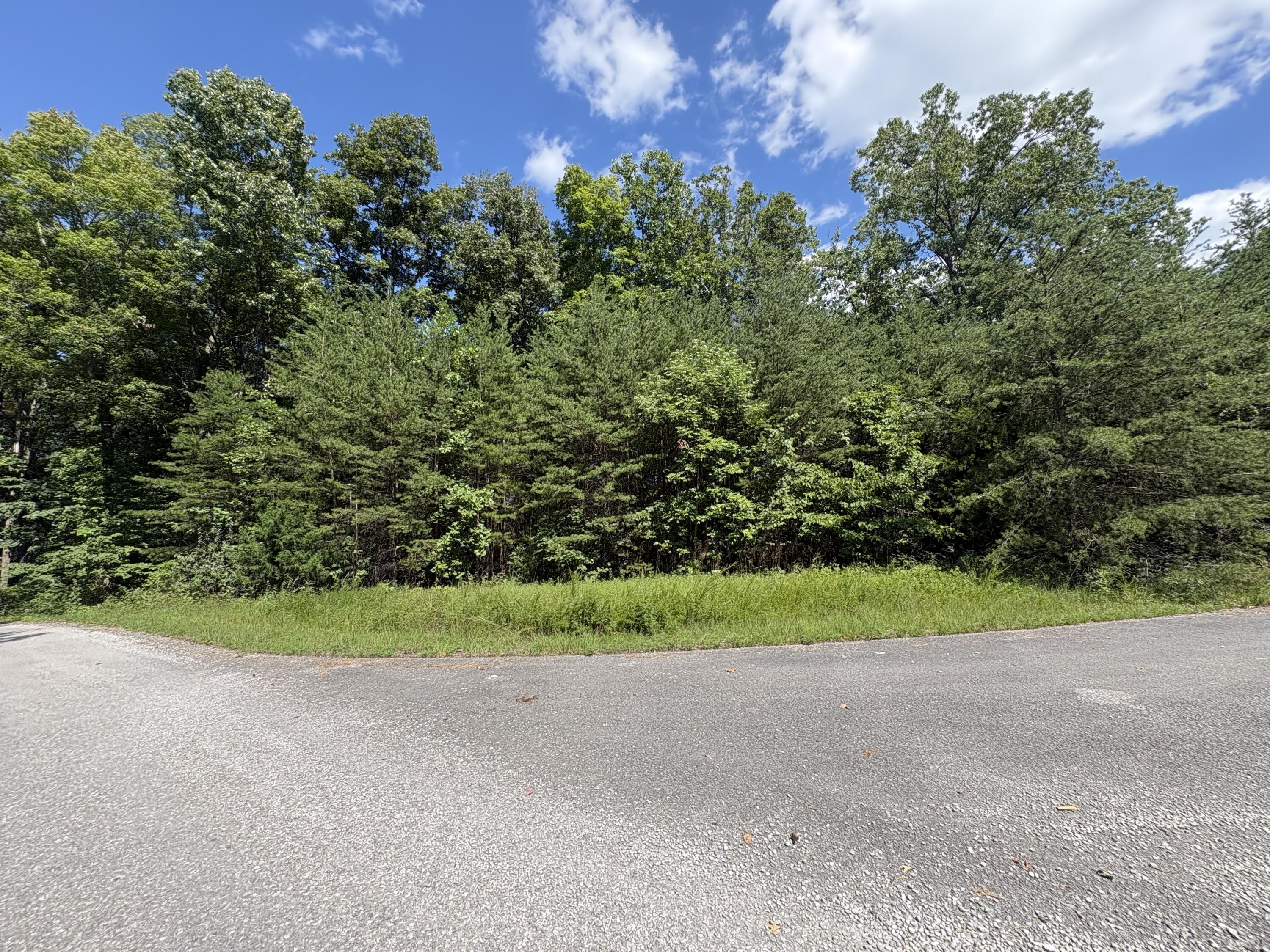 77 Sandstone Point Trail Property Photo 4