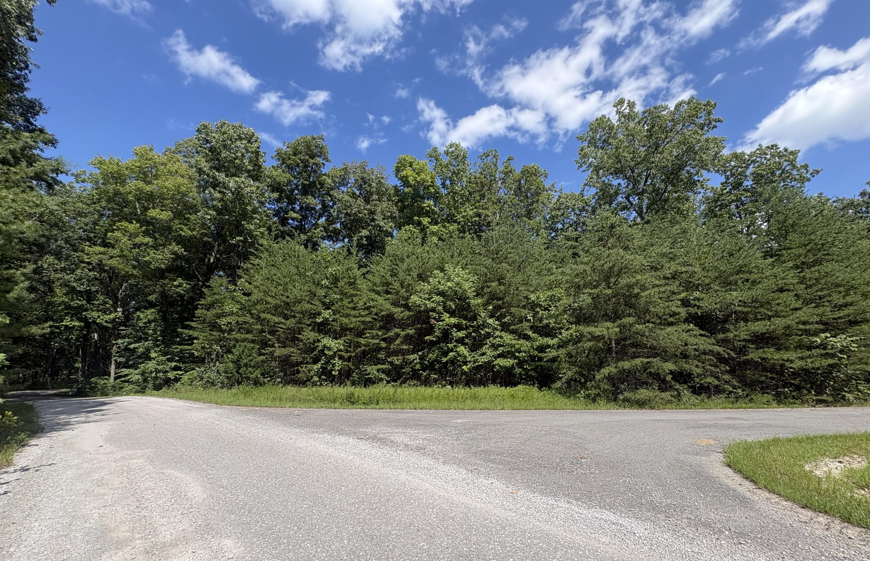 77 Sandstone Point Trail Property Photo 5