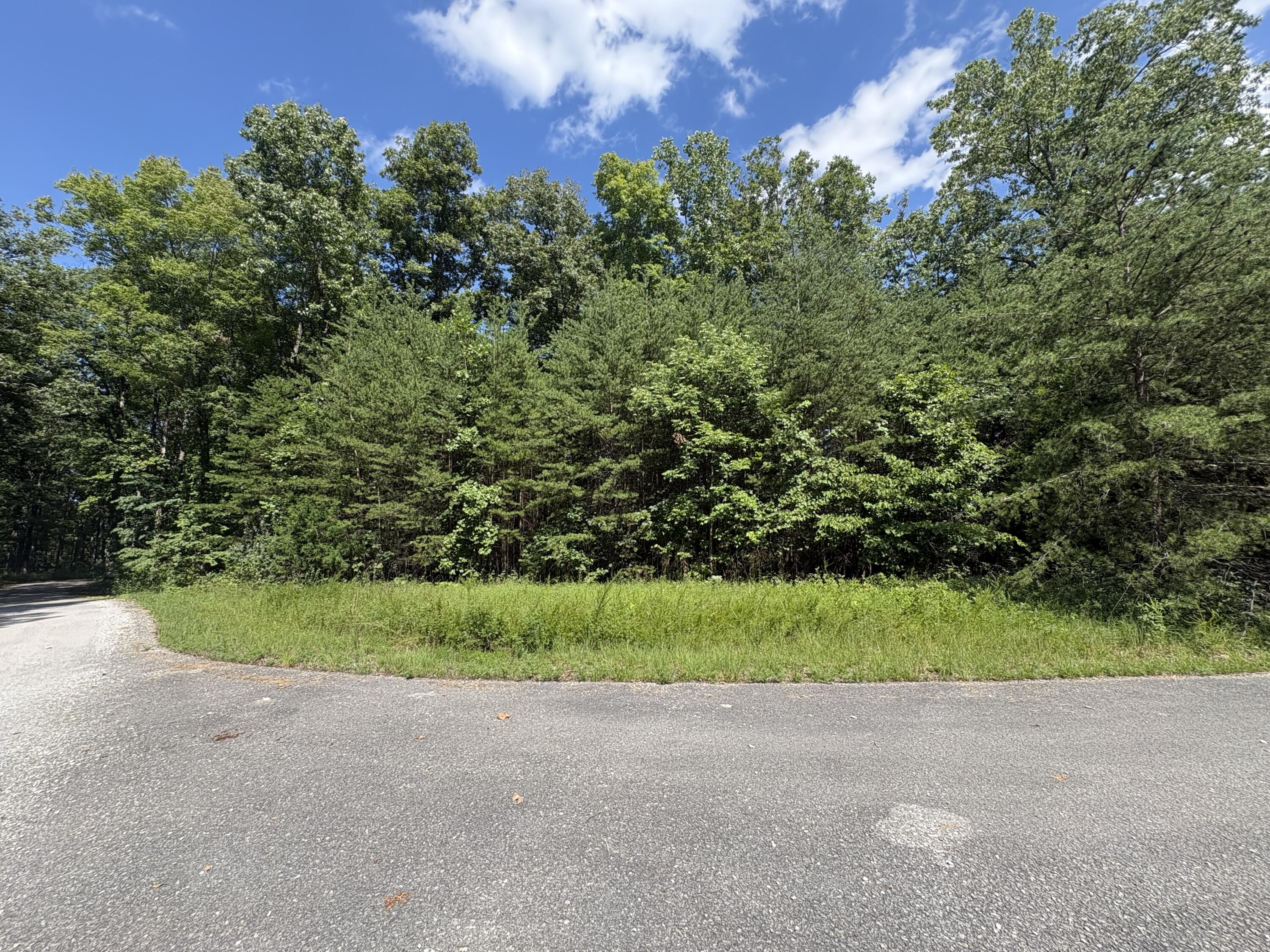 77 Sandstone Point Trail Property Photo 6