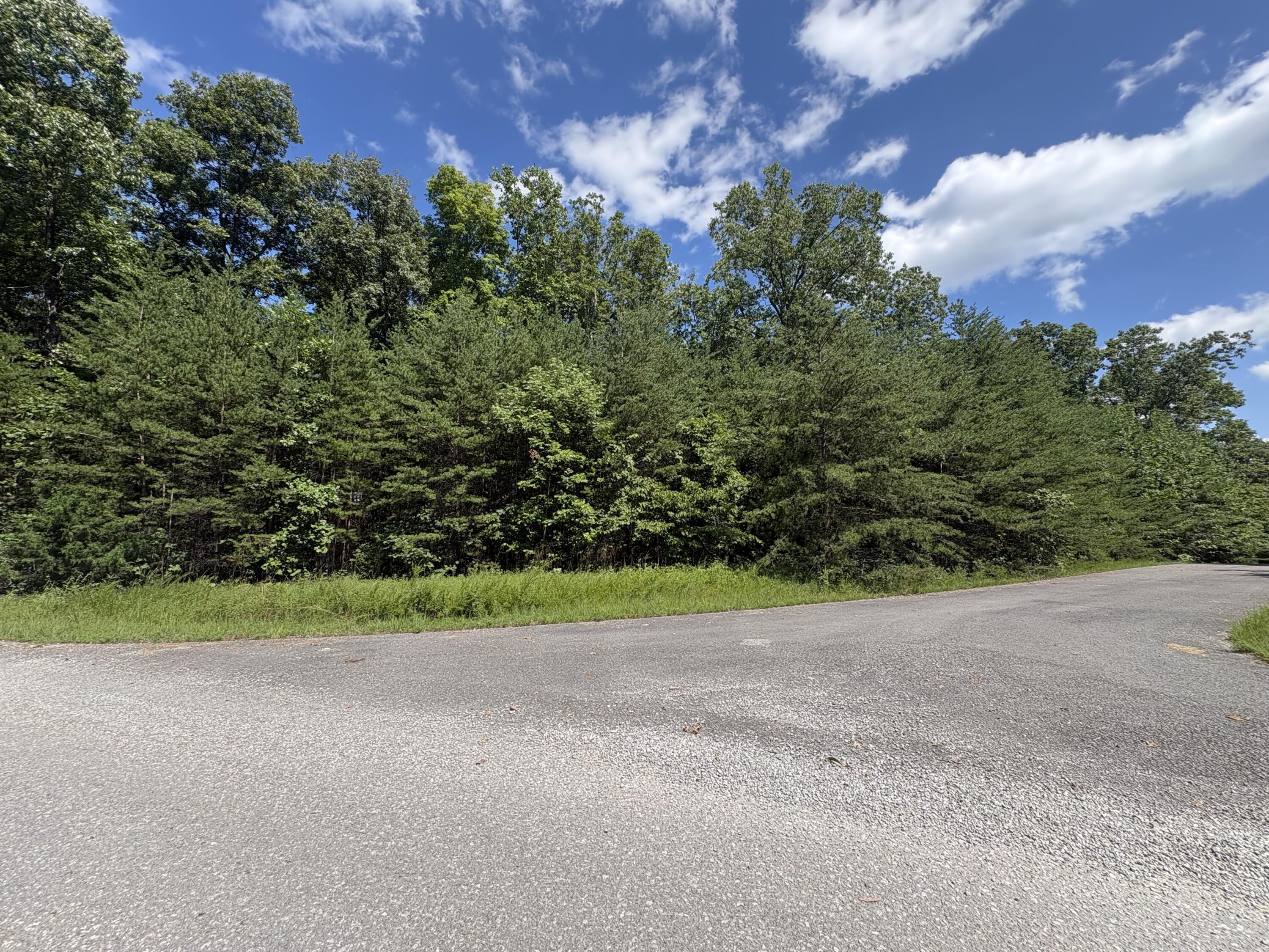 77 Sandstone Point Trail Property Photo 7