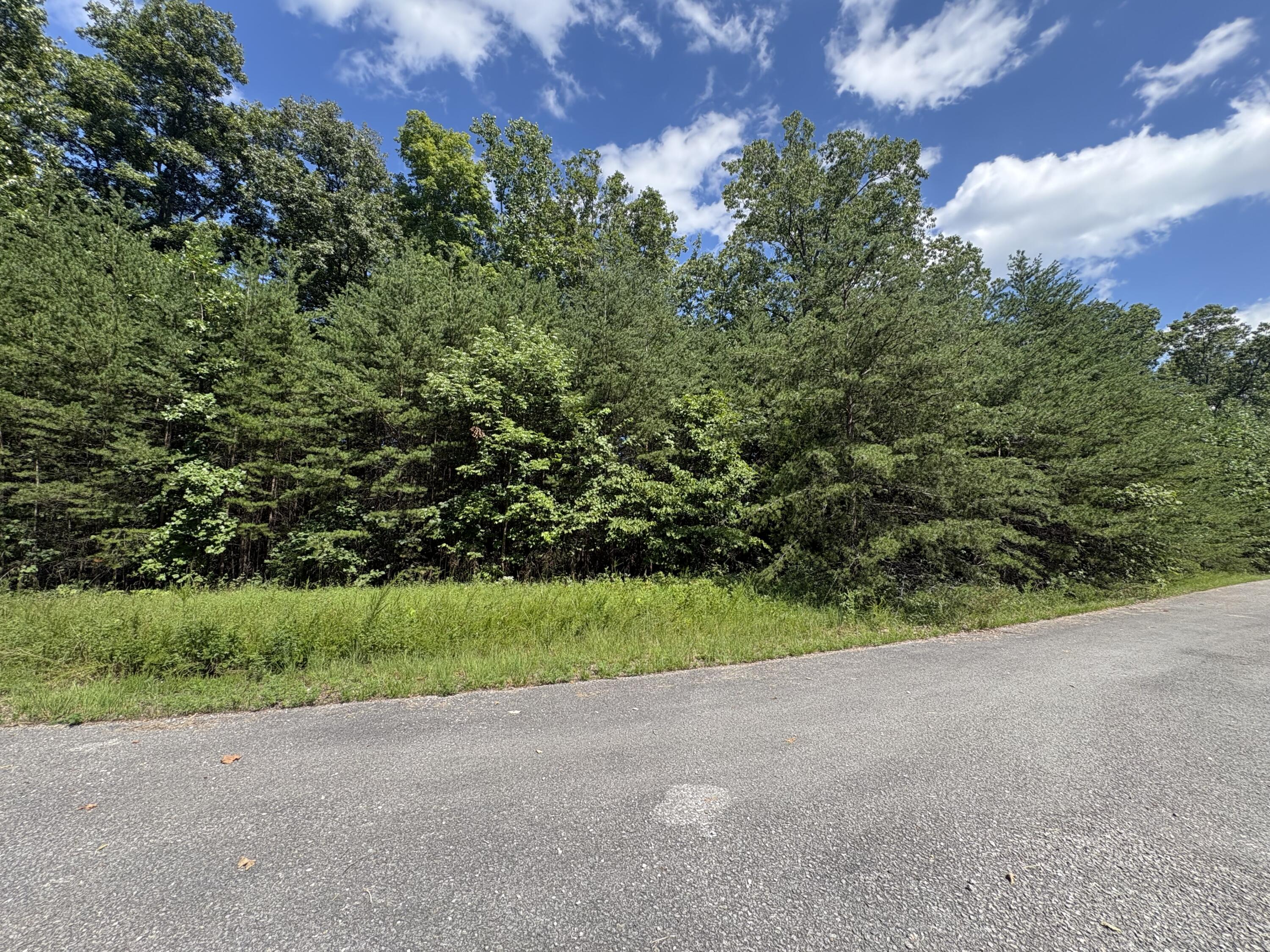 77 Sandstone Point Trail Property Photo 8