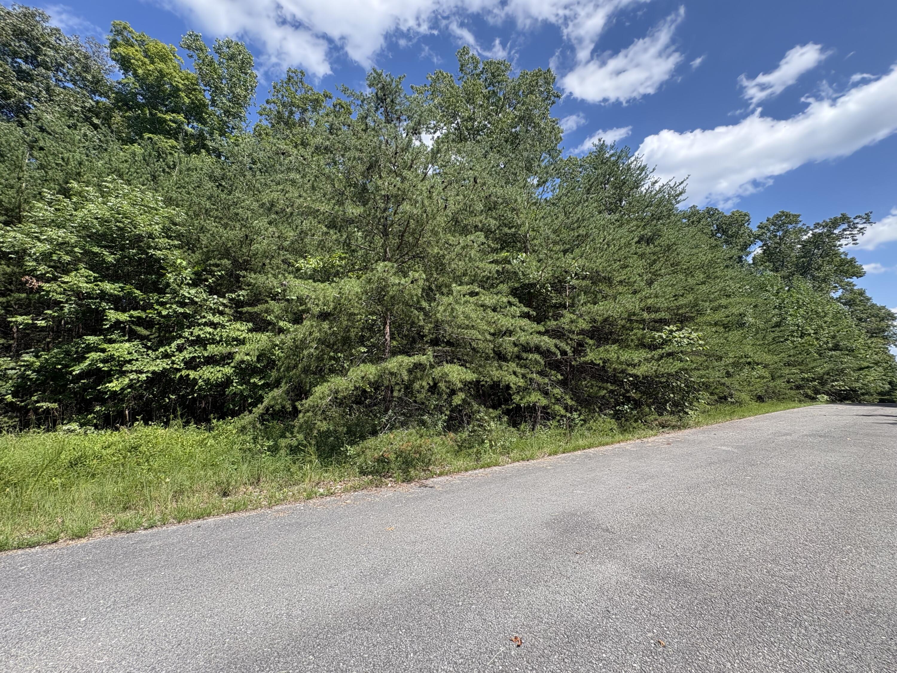 77 Sandstone Point Trail Property Photo 9