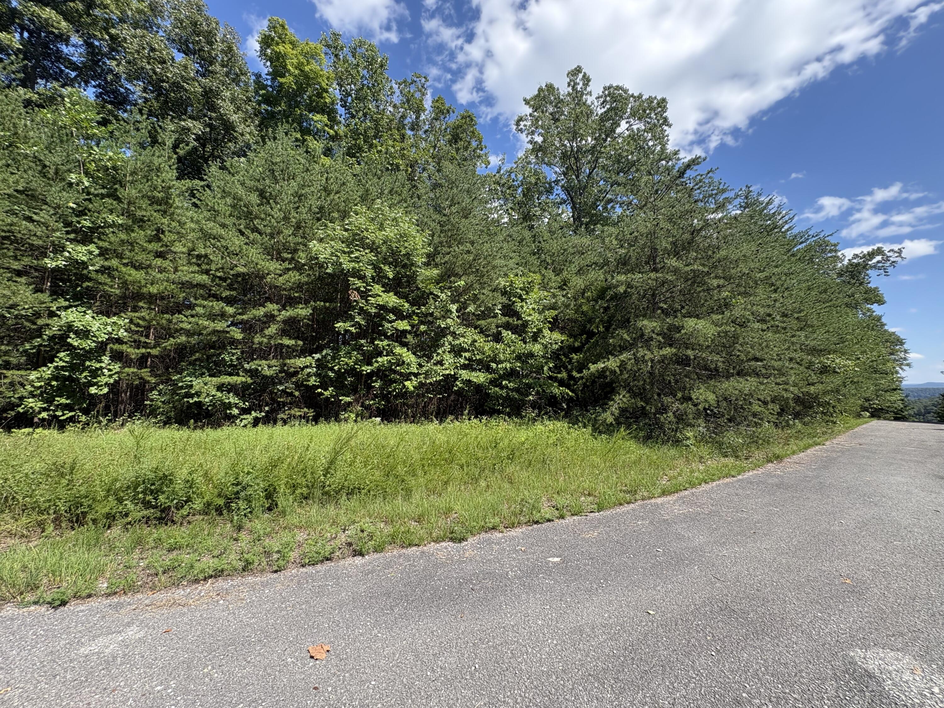 77 Sandstone Point Trail Property Photo 10