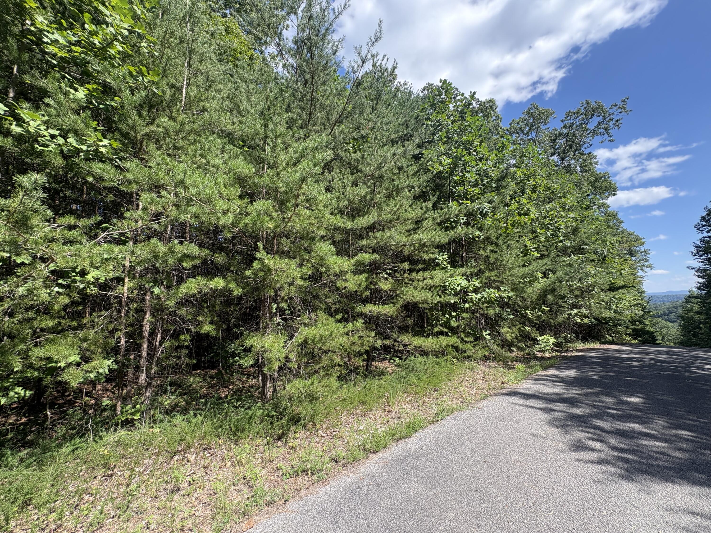 77 Sandstone Point Trail Property Photo 11