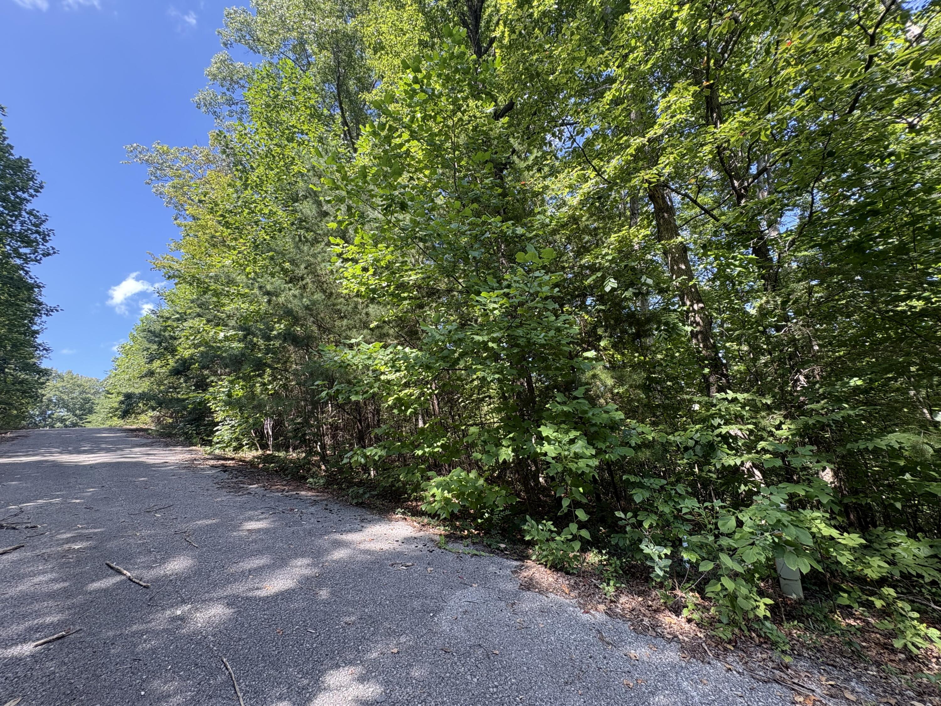 77 Sandstone Point Trail Property Photo 12