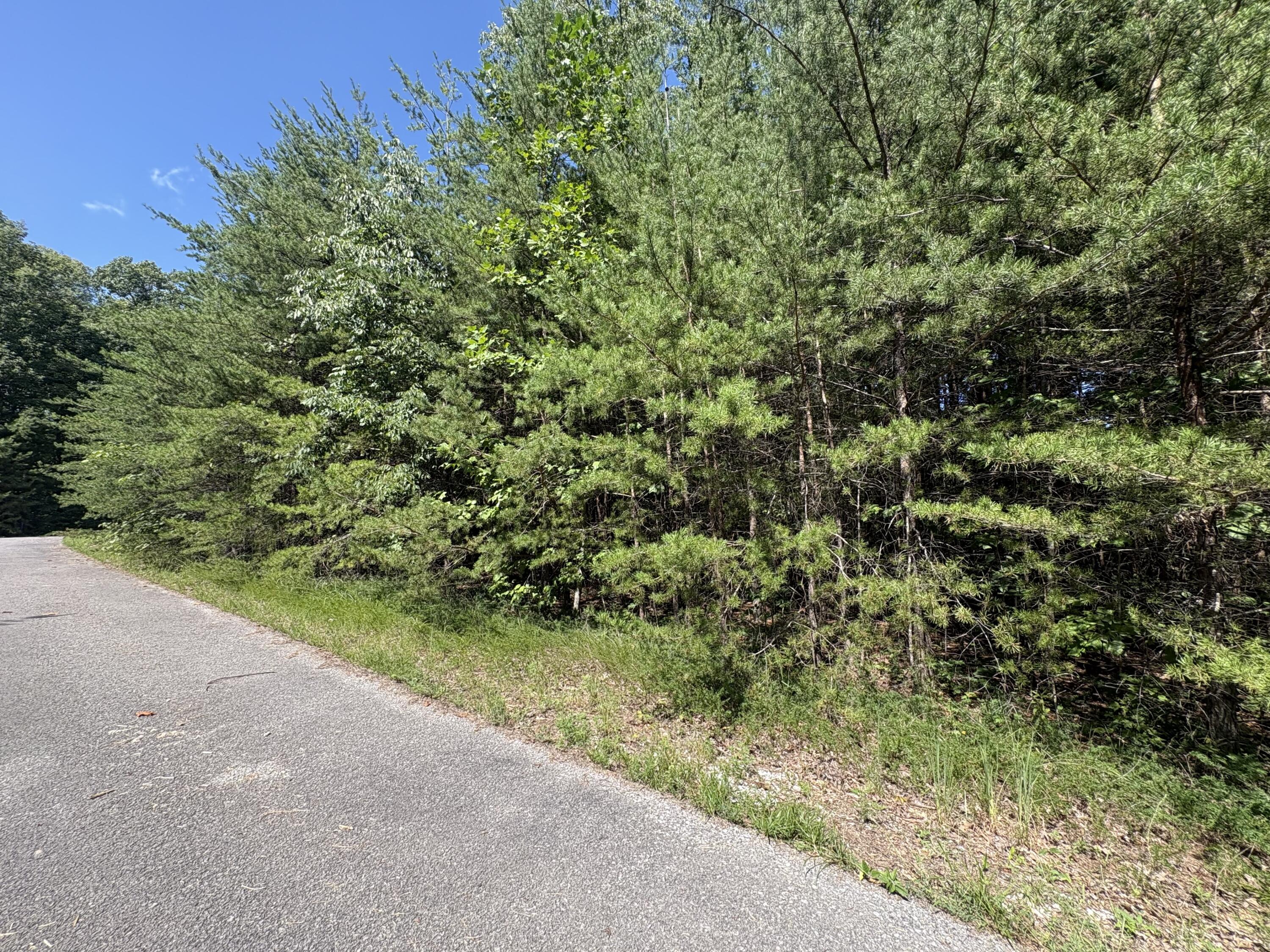 77 Sandstone Point Trail Property Photo 13