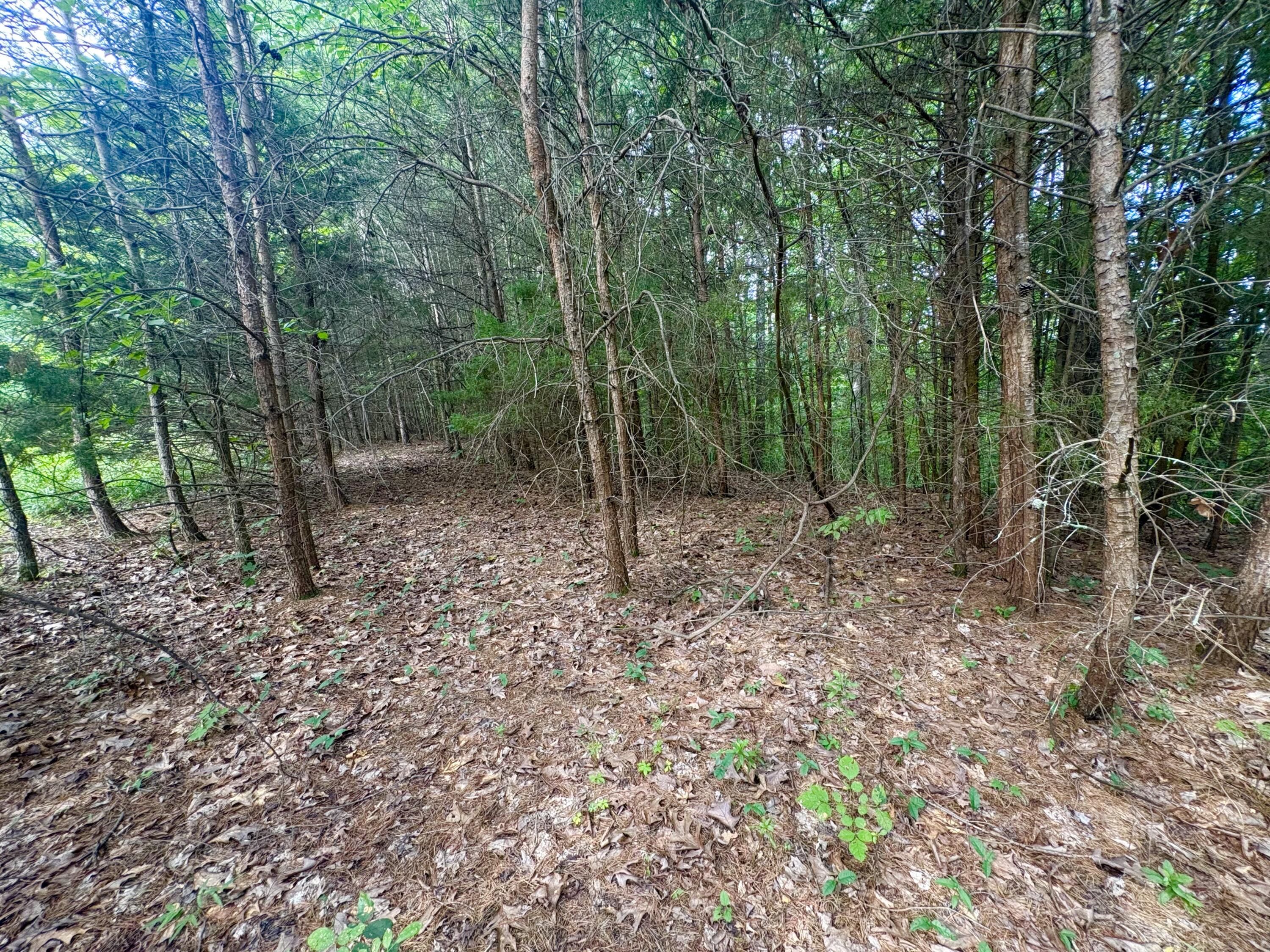 77 Sandstone Point Trail Property Photo 14