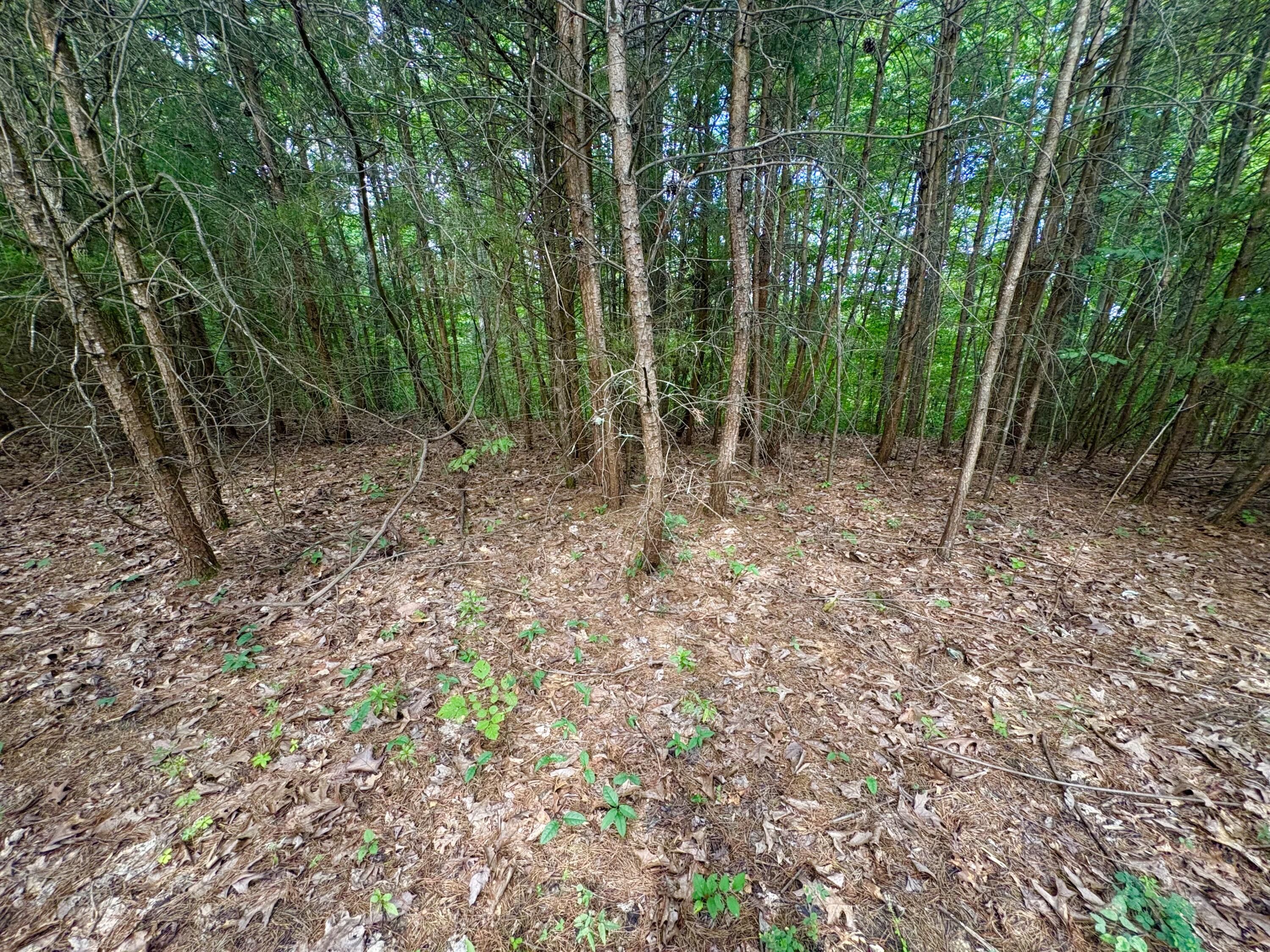 77 Sandstone Point Trail Property Photo 15