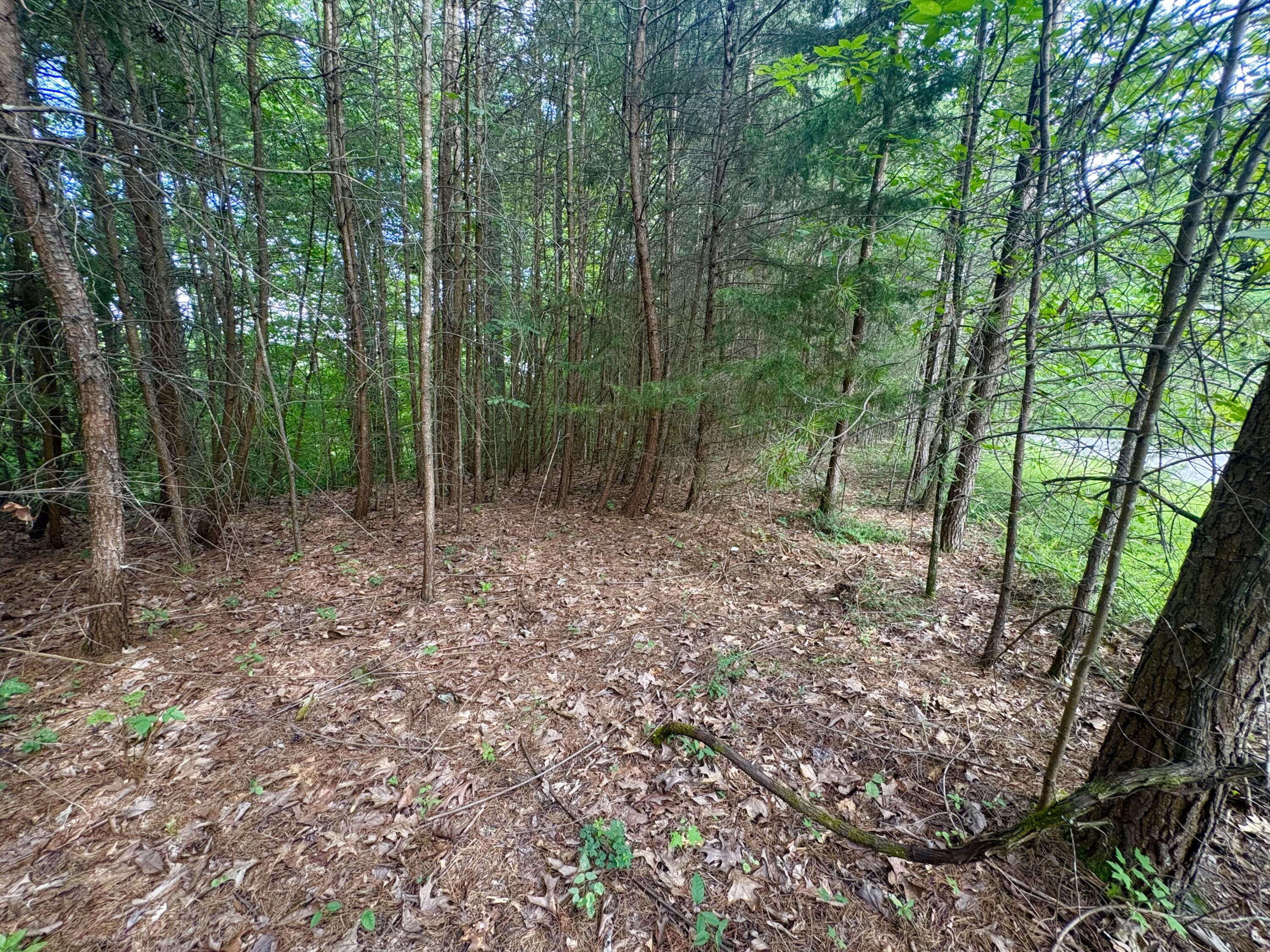 77 Sandstone Point Trail Property Photo 16