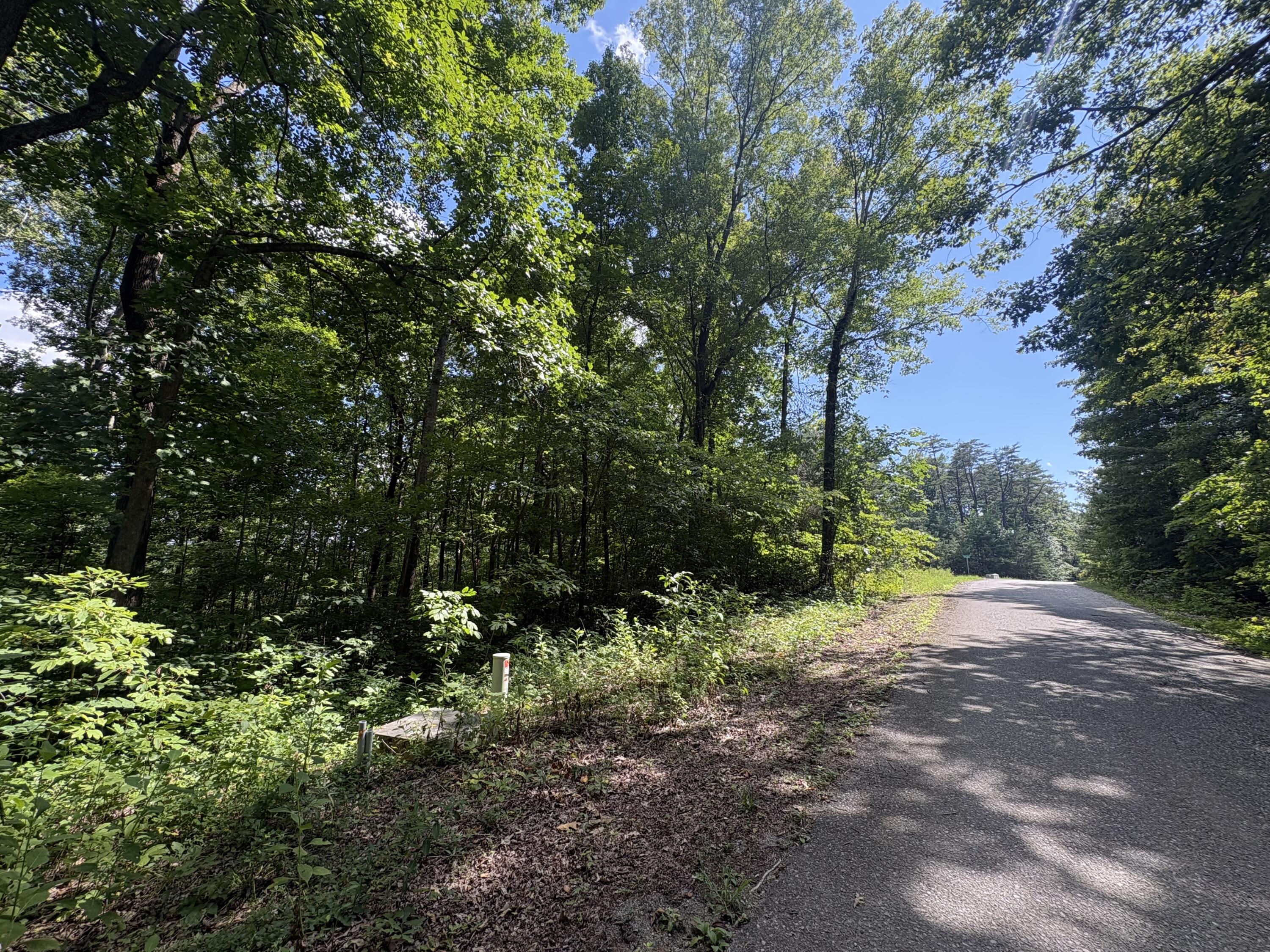 77 Sandstone Point Trail Property Photo 17