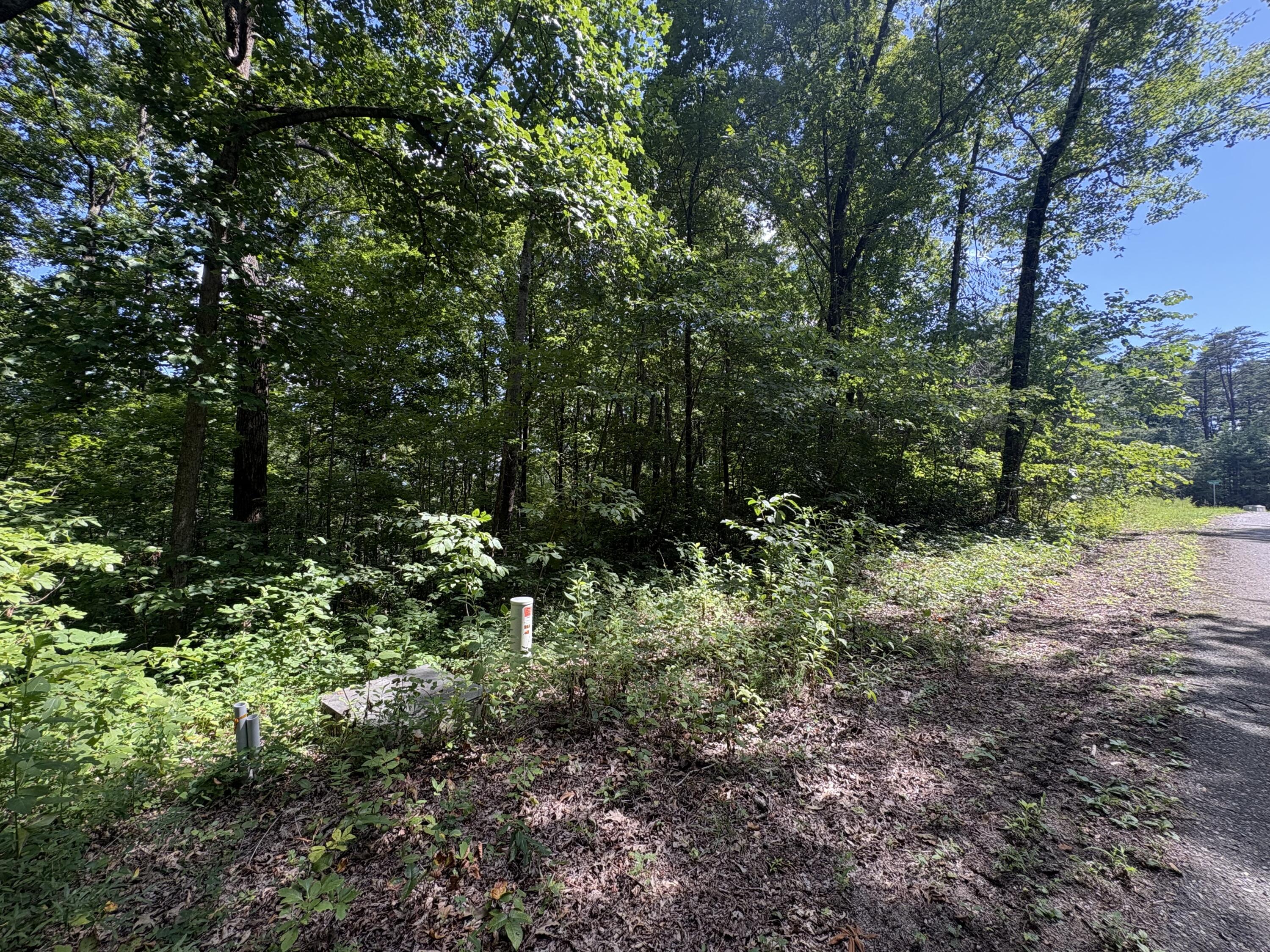 77 Sandstone Point Trail Property Photo 18