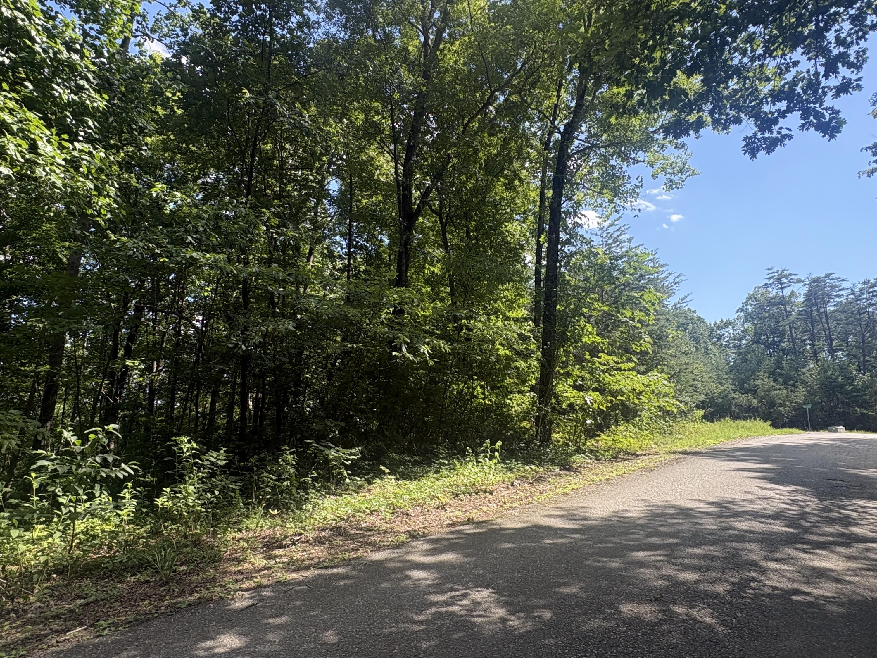 77 Sandstone Point Trail Property Photo 19