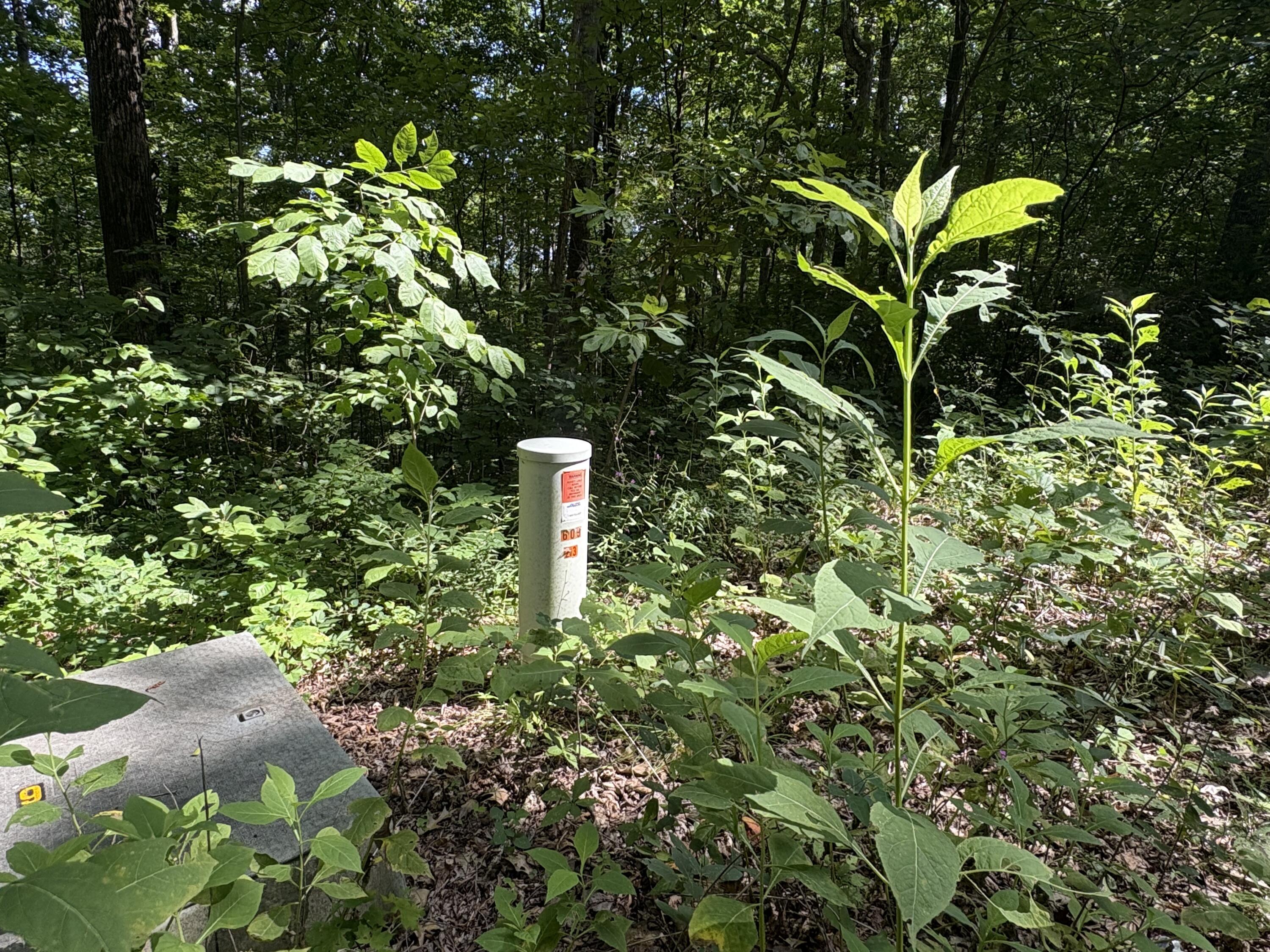 77 Sandstone Point Trail Property Photo 20