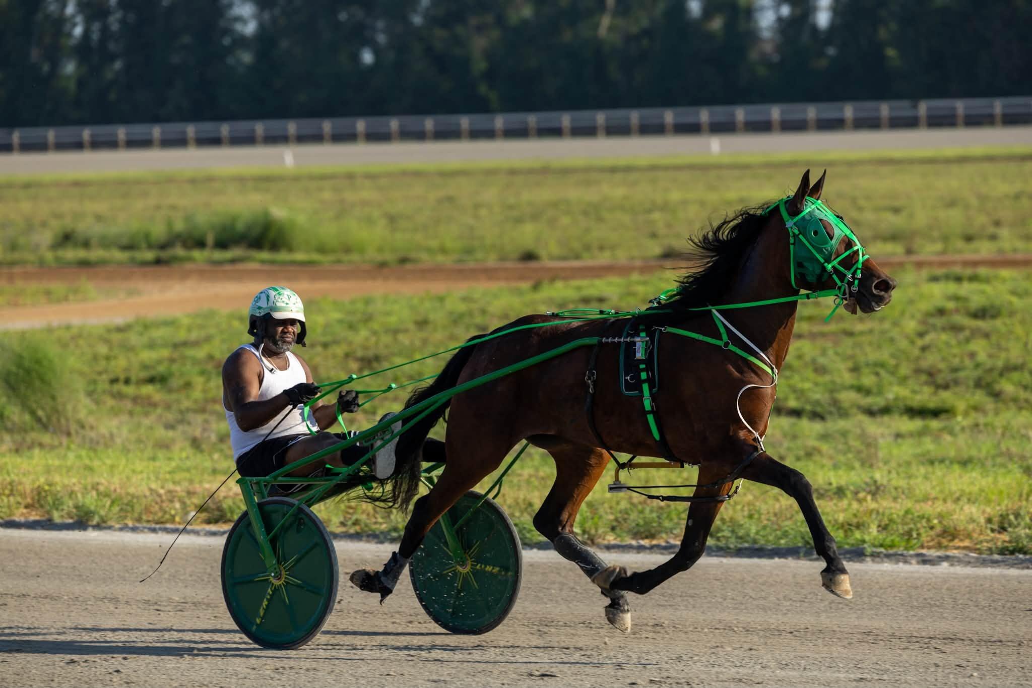 120 Highbramble Lane Property Photo 6