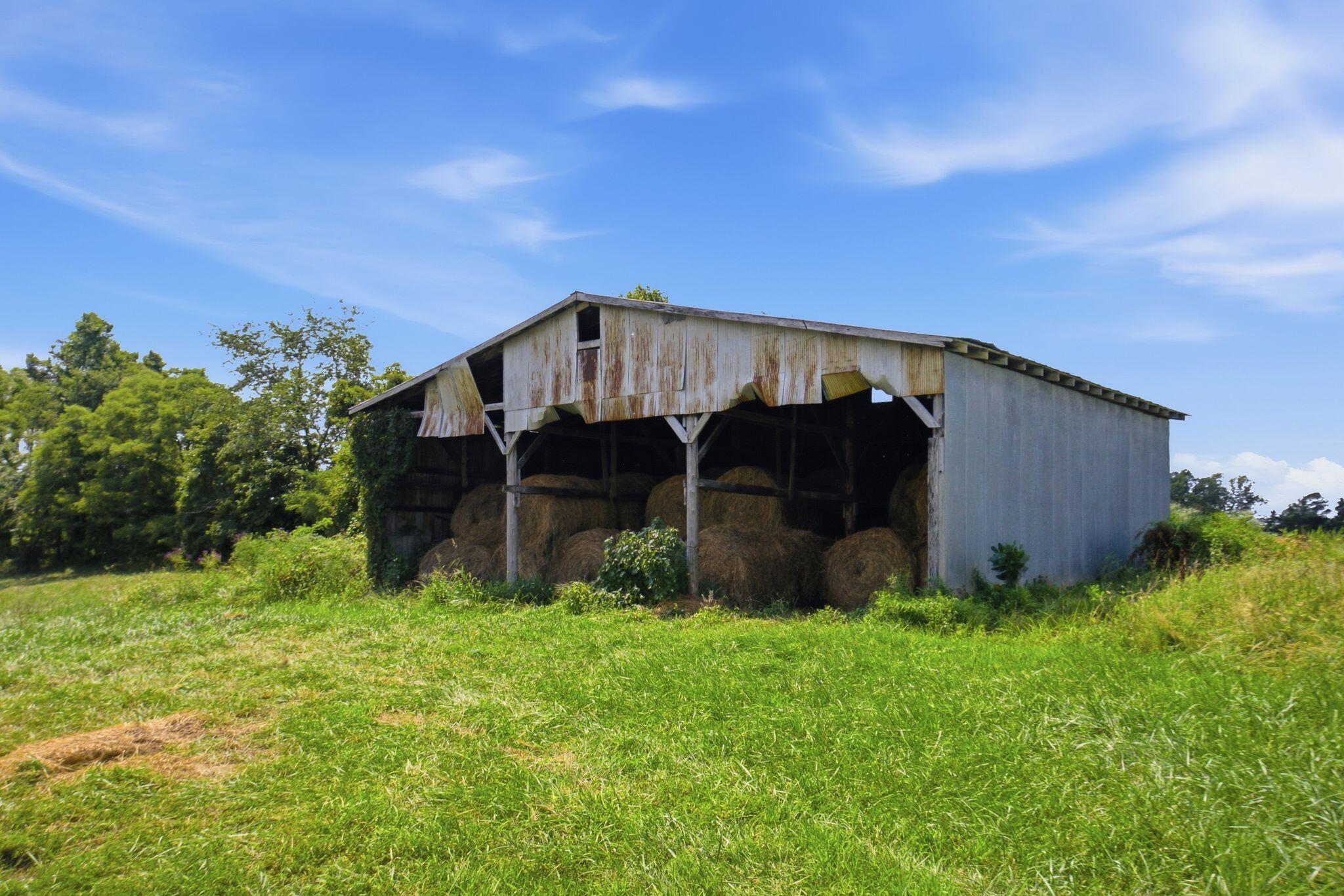 15529 St John Road Property Photo 35