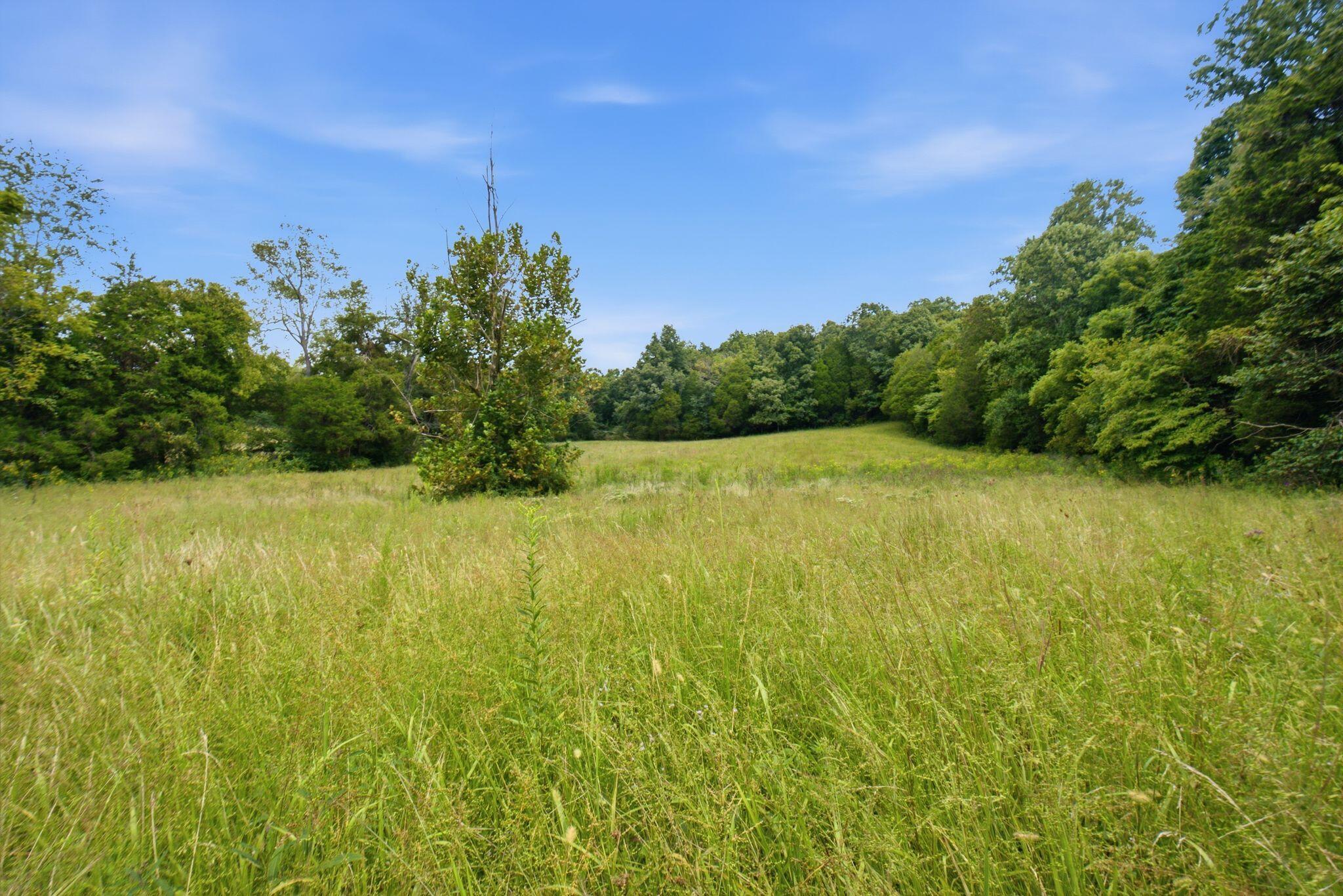 15529 St John Road Property Photo 42
