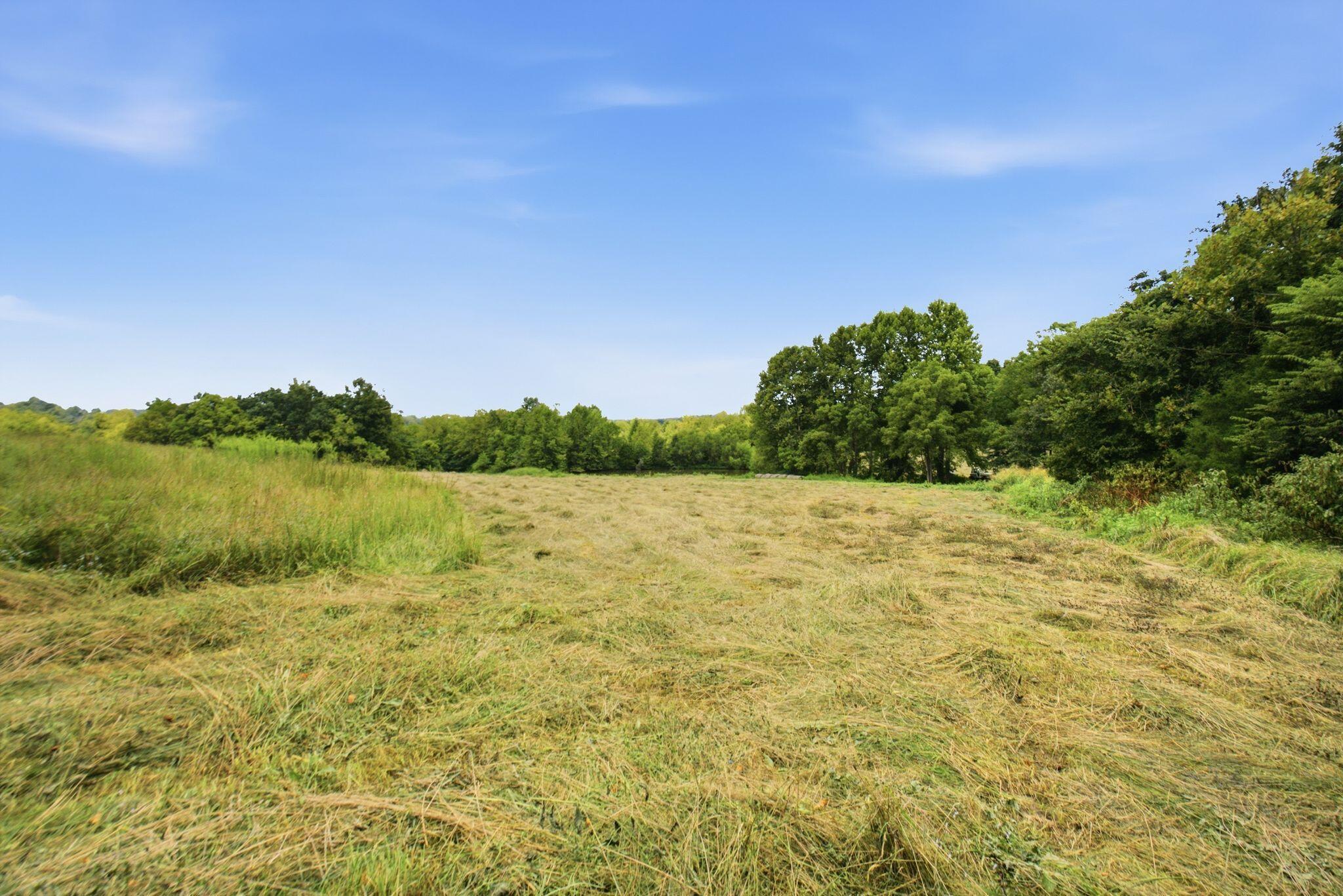 15529 St John Road Property Photo 44