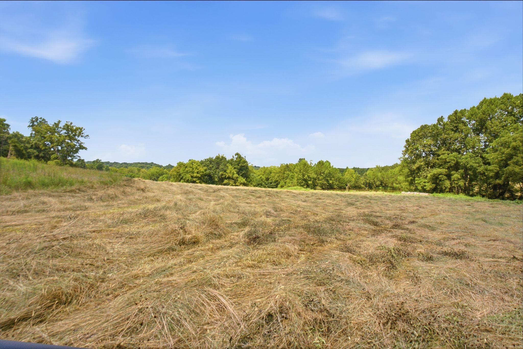 15529 St John Road Property Photo 45