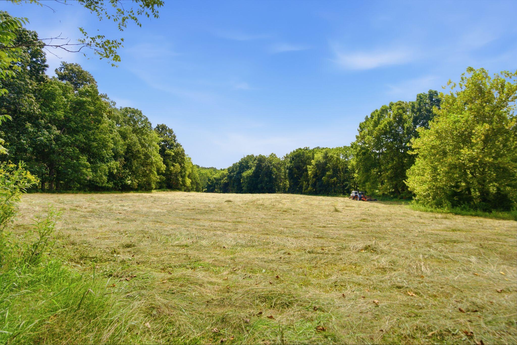 15529 St John Road Property Photo 47