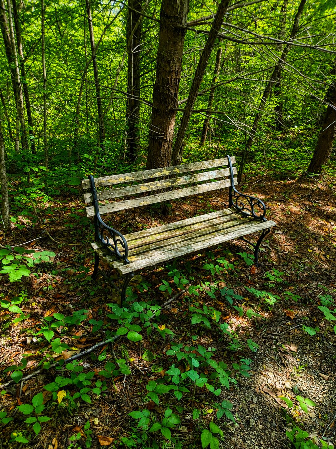 2924 Red Lick Road Property Photo 16