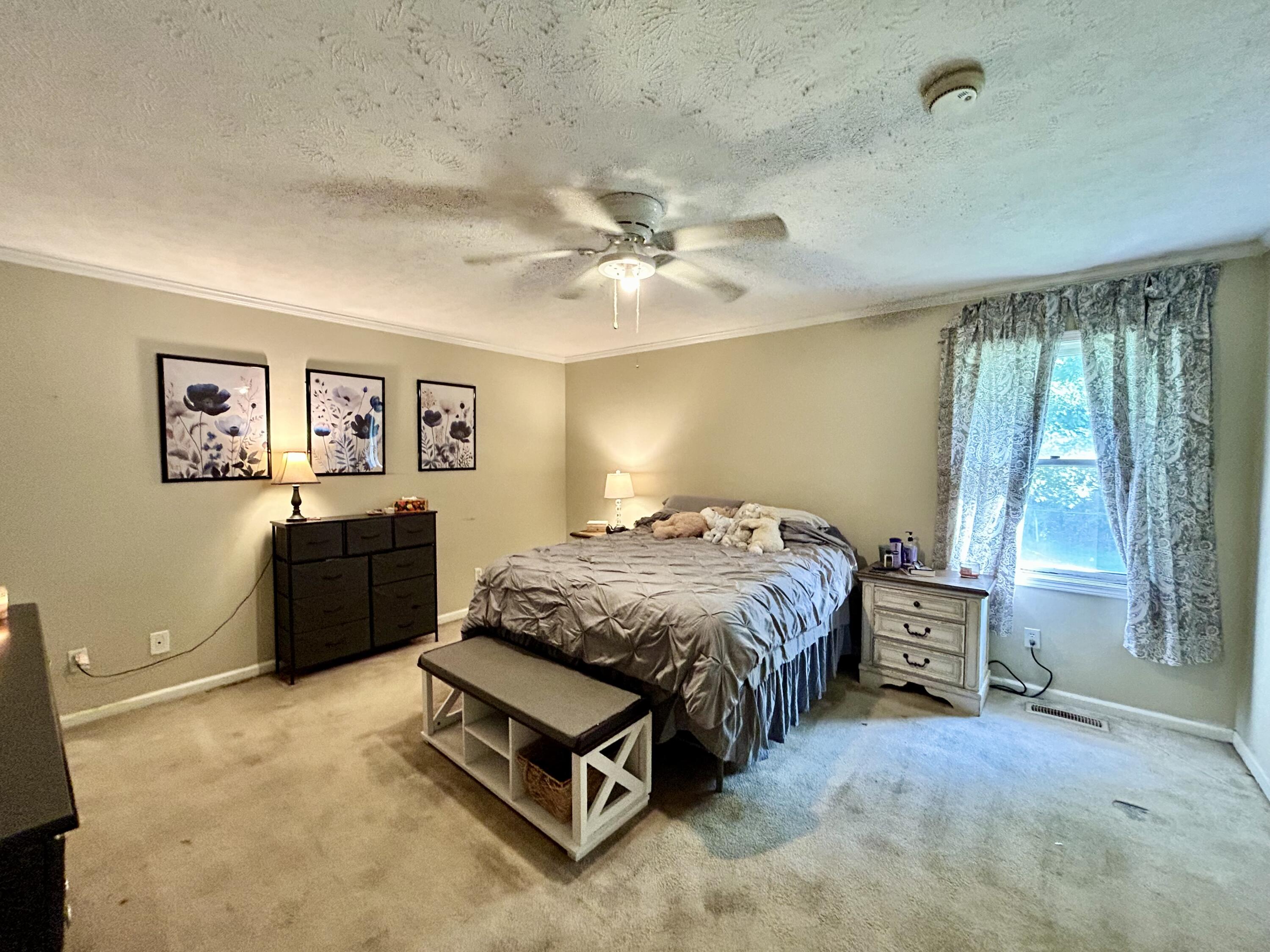 255 Hillington Drive Property Photo 11