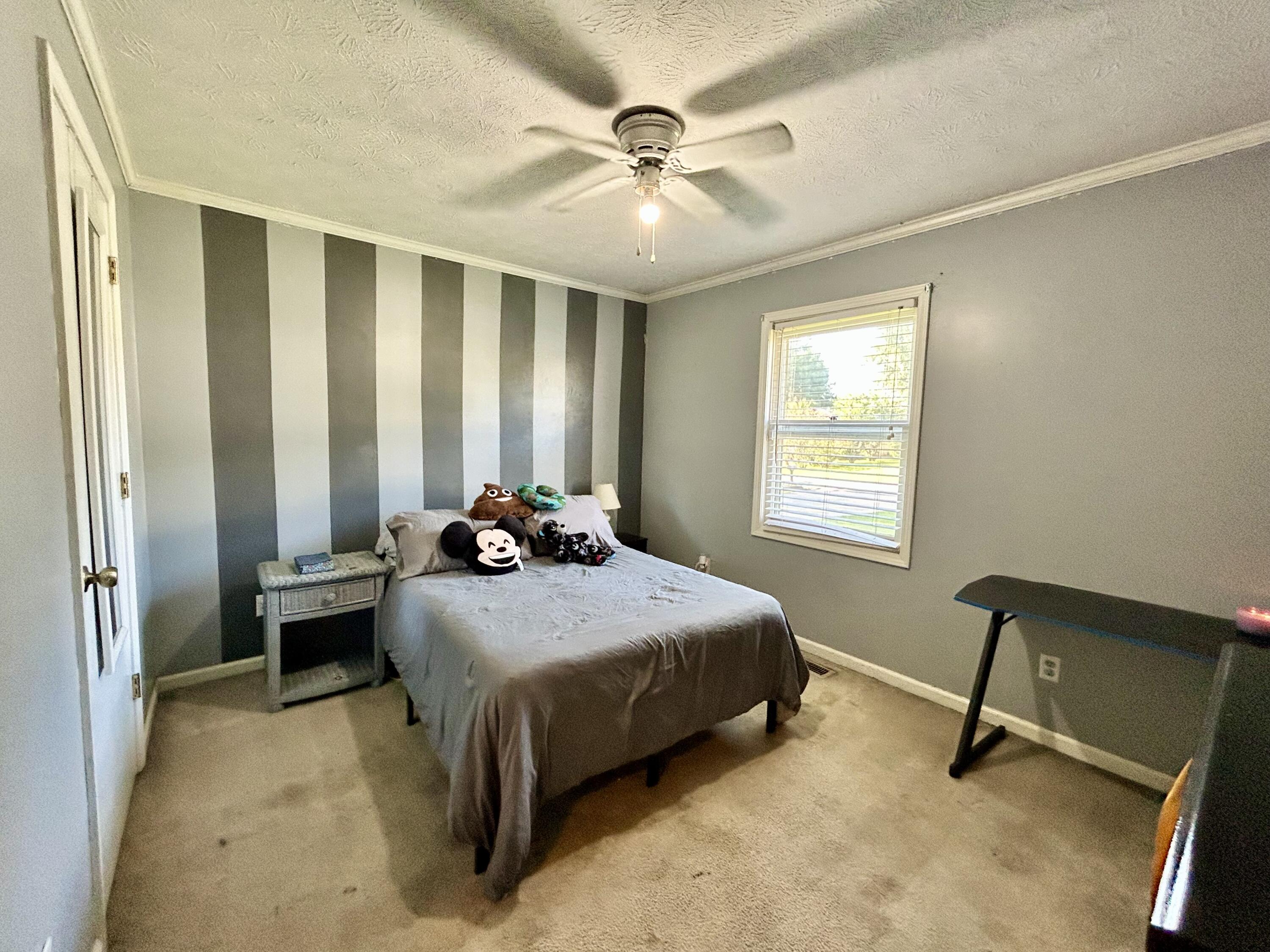 255 Hillington Drive Property Photo 13