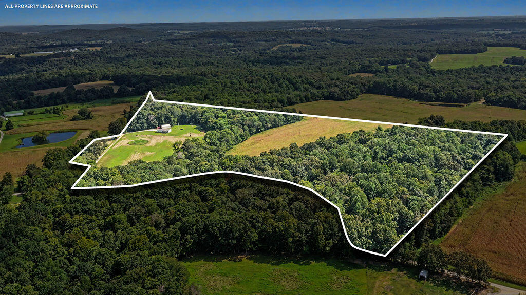 12080 Johnson Mill Rd Road Property Photo 6