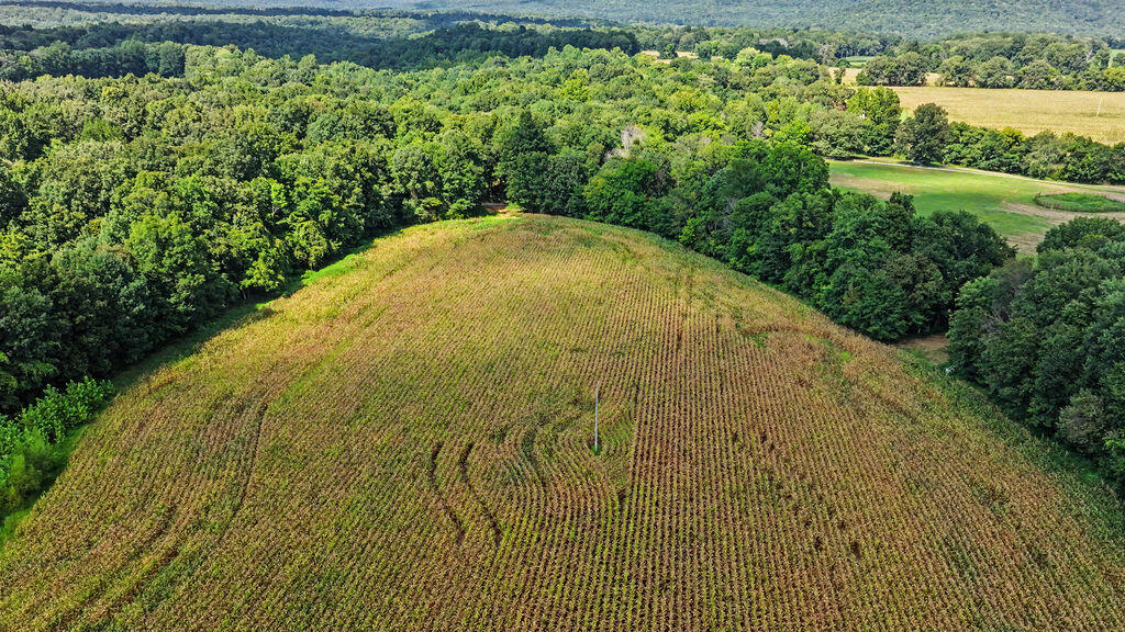 12080 Johnson Mill Rd Road Property Photo 12