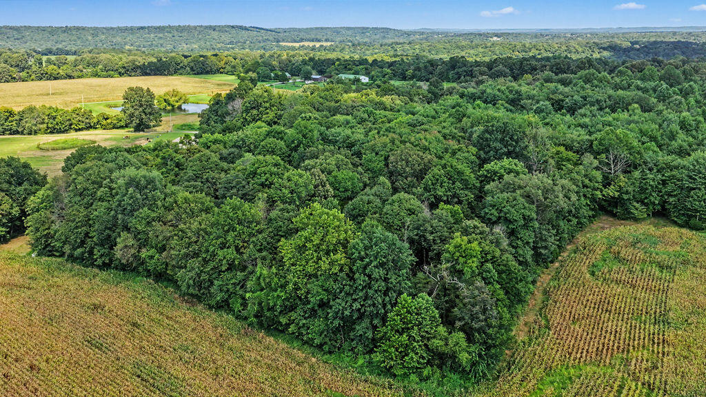 12080 Johnson Mill Rd Road Property Photo 13