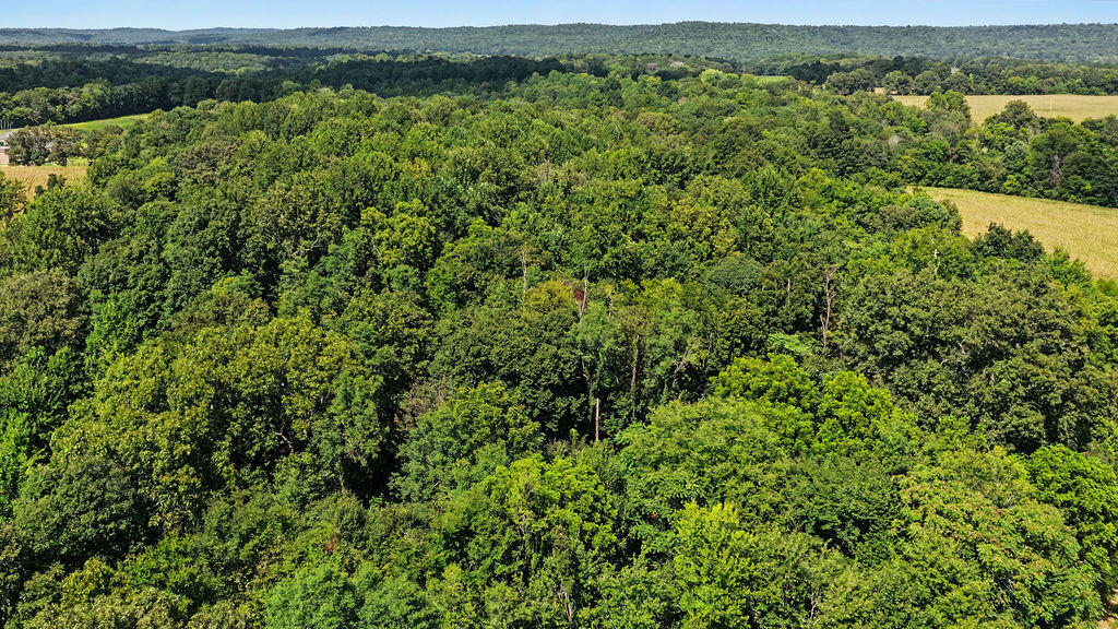 12080 Johnson Mill Rd Road Property Photo 14