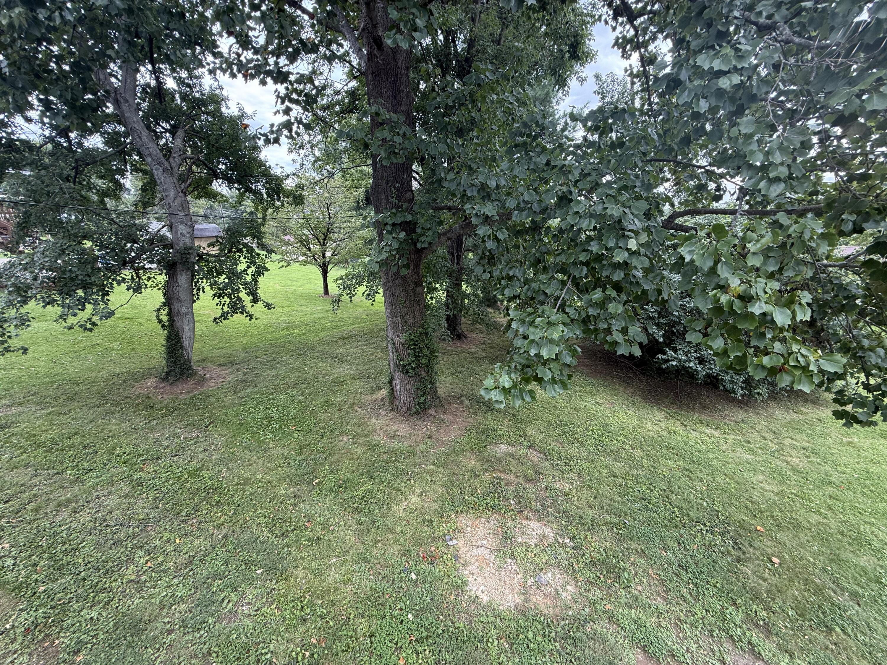 126 Millstone Drive Property Photo 53