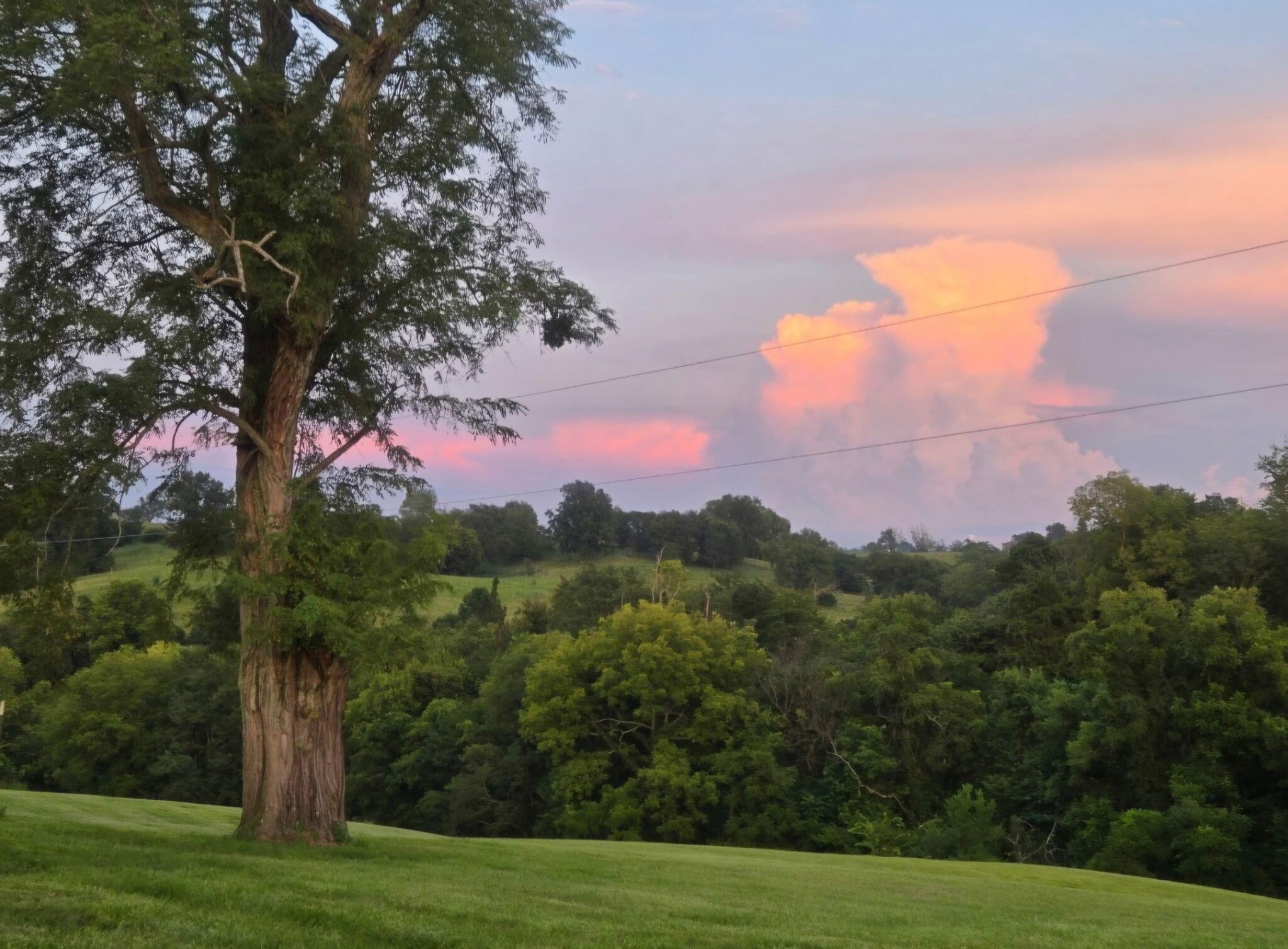 1108 Old Railroad Grade Road Property Photo 45