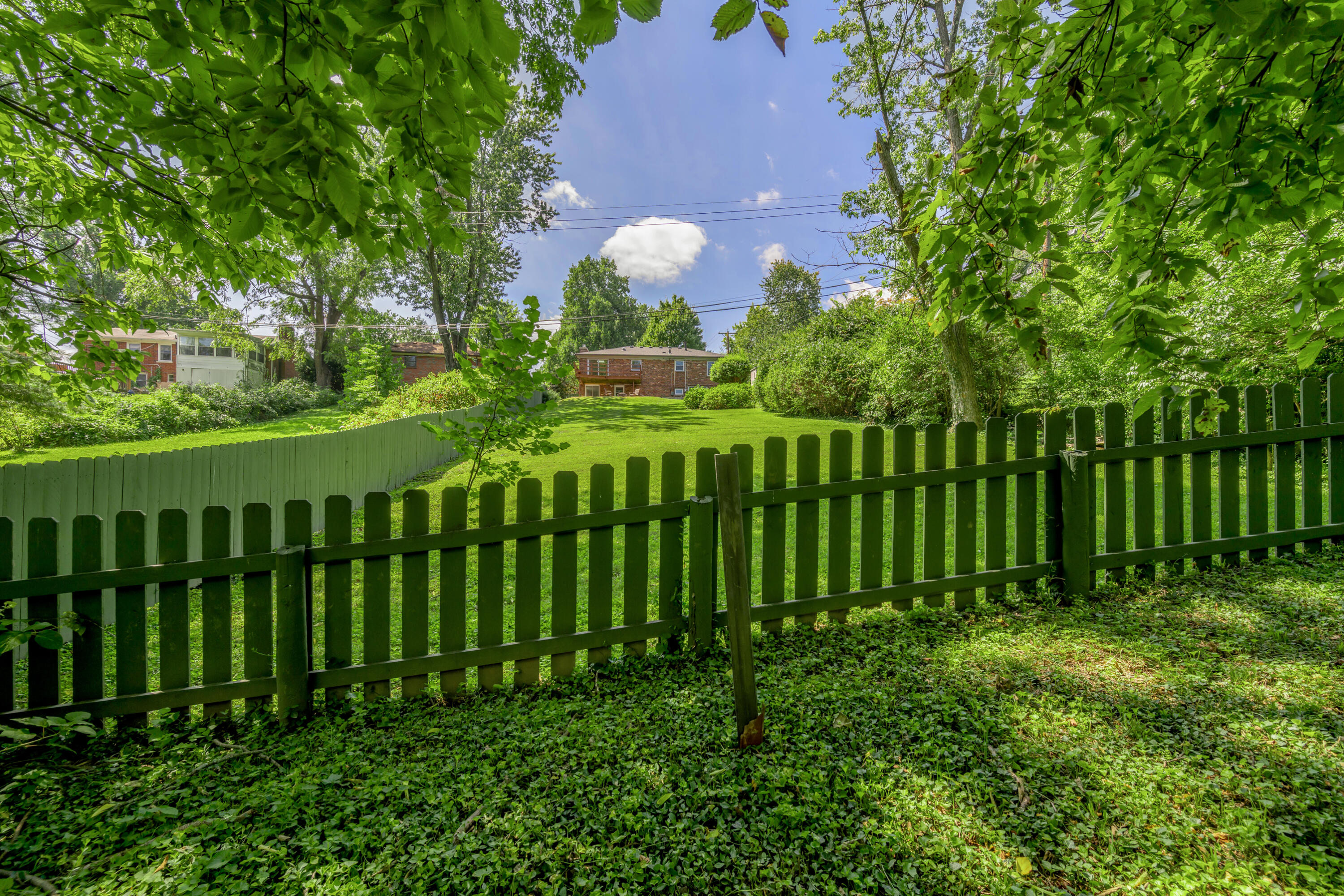 953 Holly Springs Drive Property Photo 3