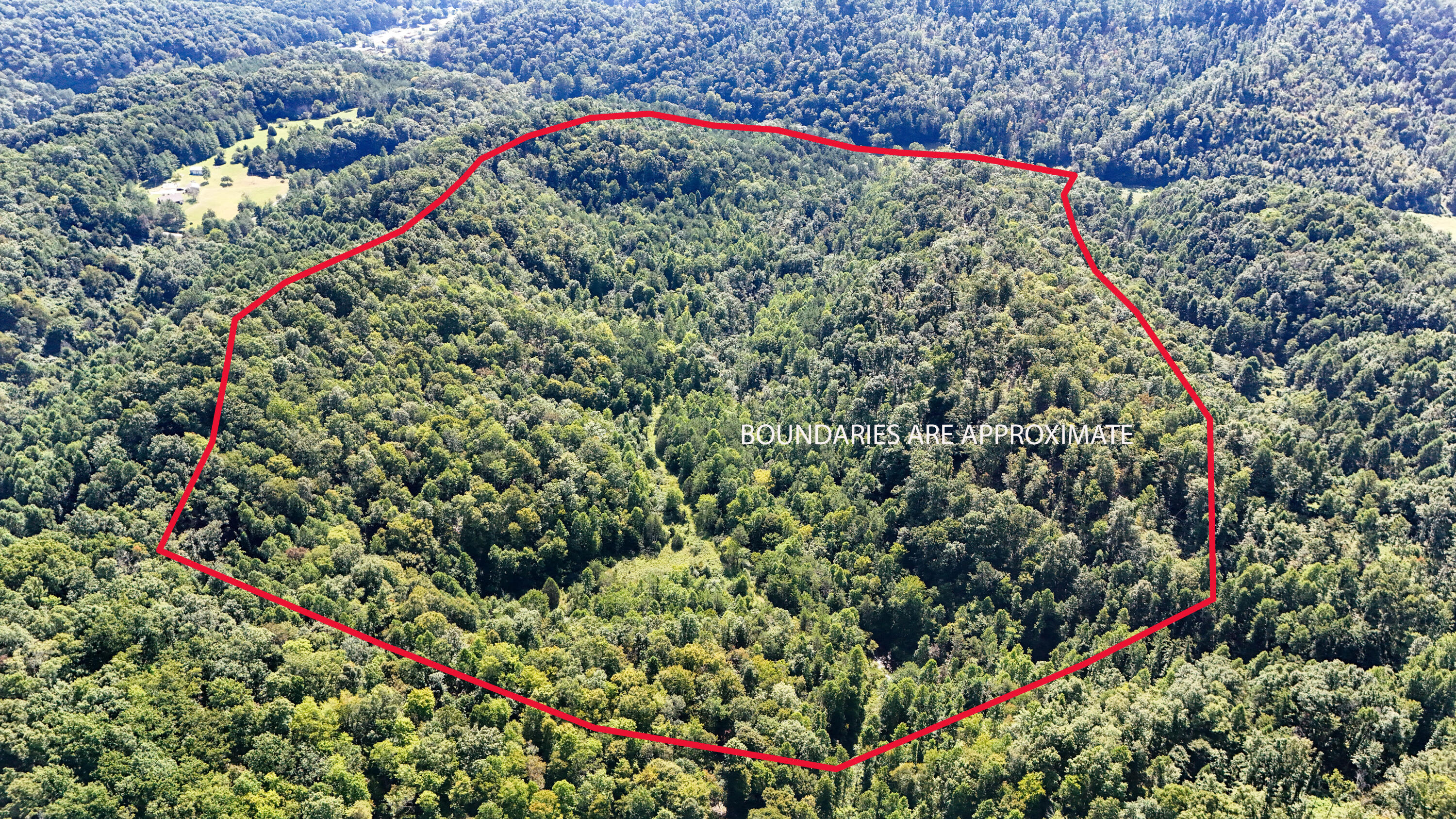 0 Hogskin Road Property Photo 3