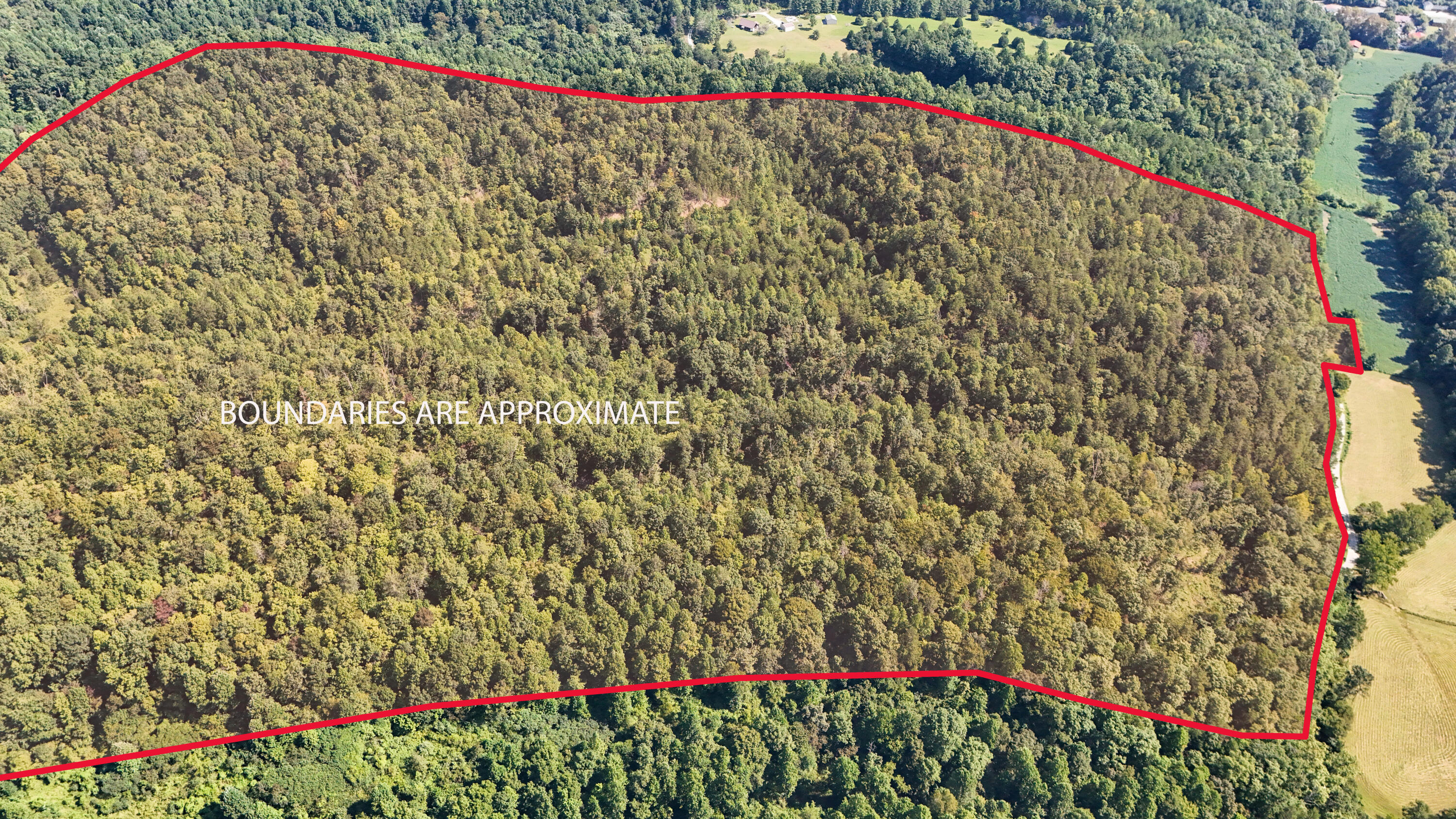 0 Hogskin Road Property Photo 18