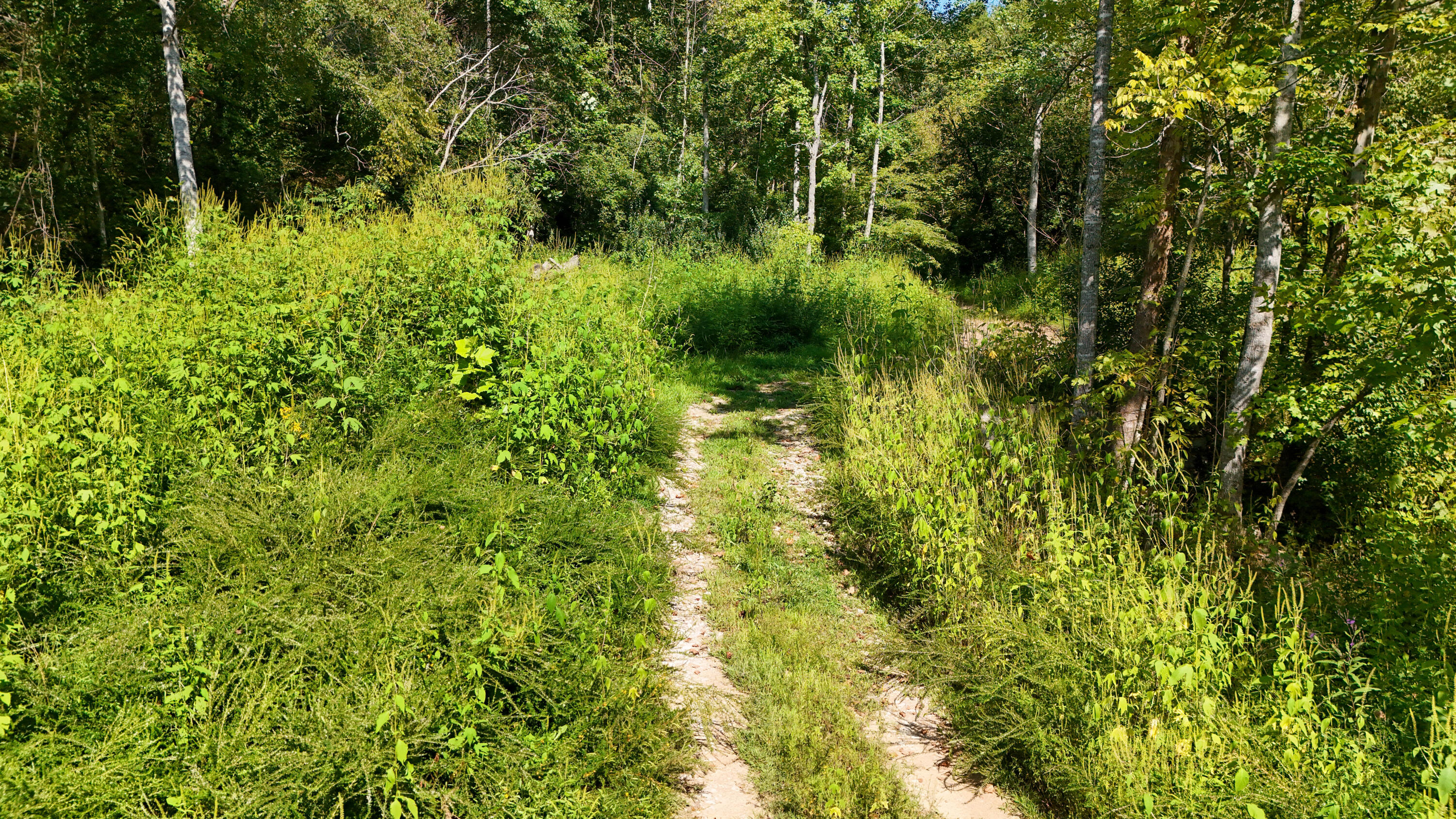 0 Hogskin Road Property Photo 23