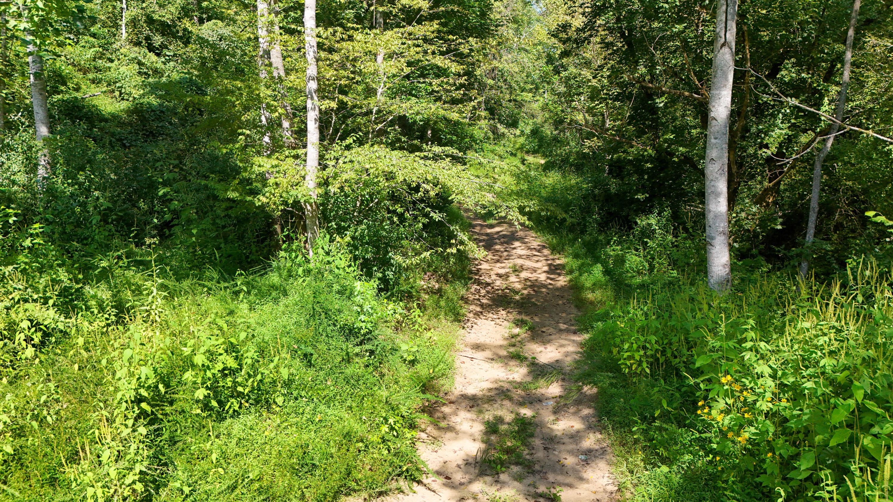 0 Hogskin Road Property Photo 24