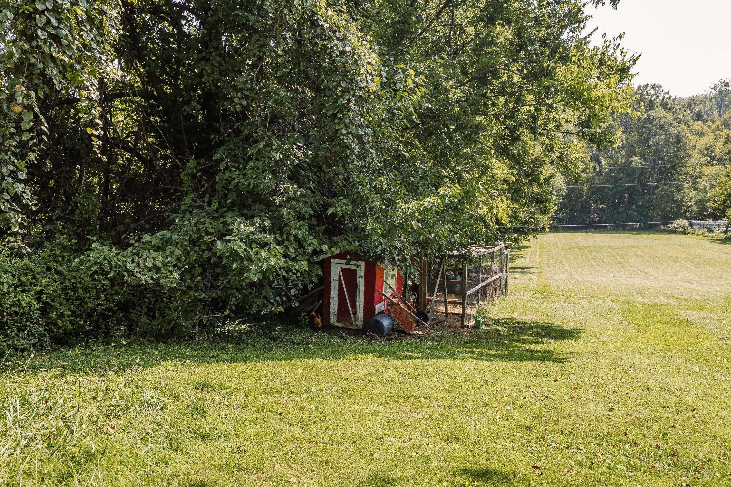 1057 Wildcat Road Property Photo 15