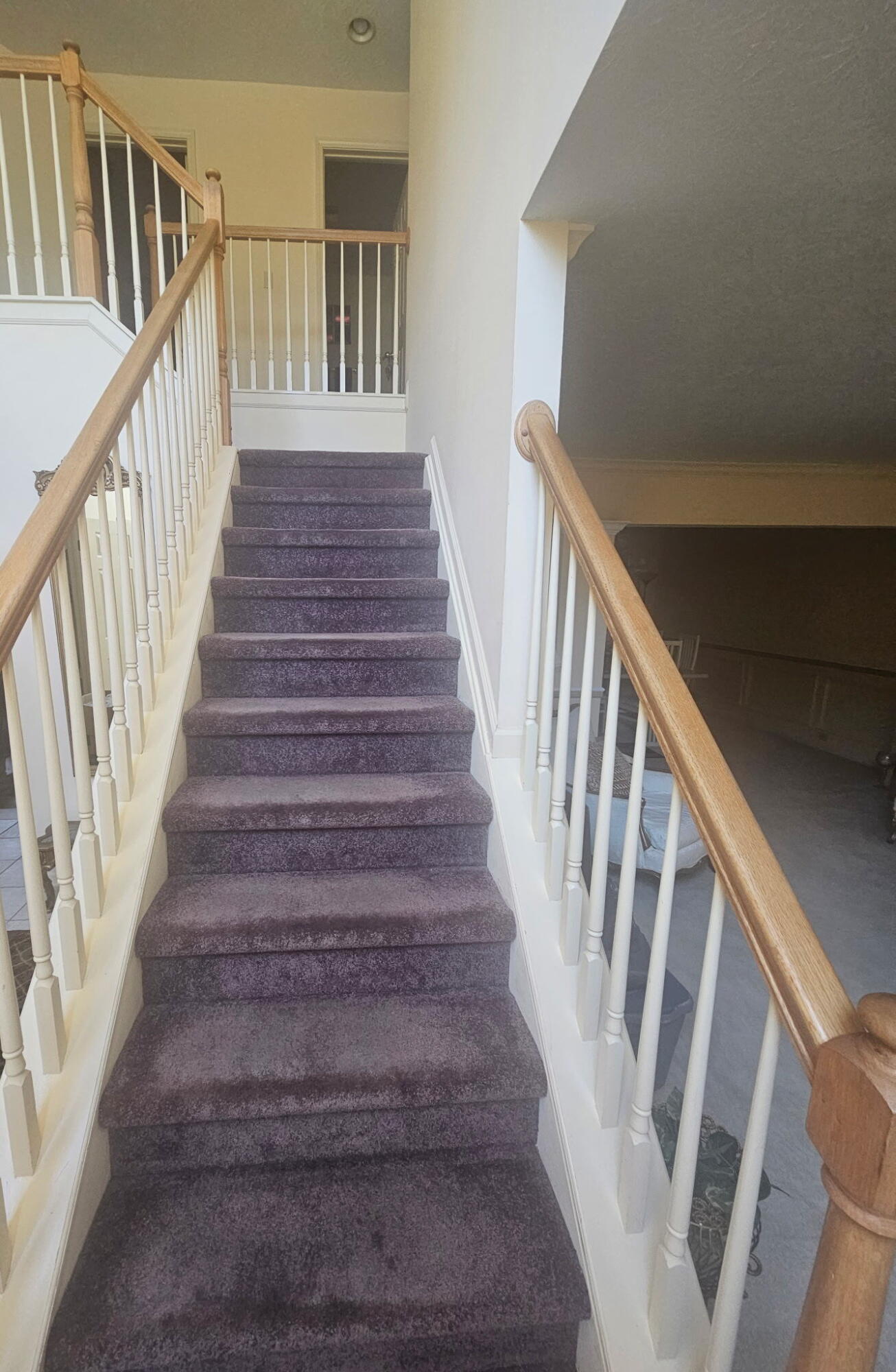 180 Bittersweet Way Property Photo 17