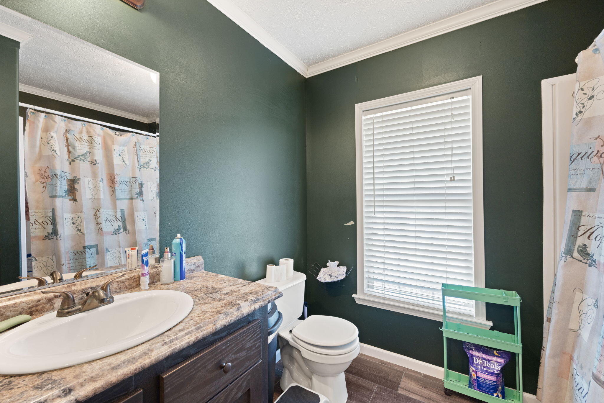 620 Black Pike Property Photo 50