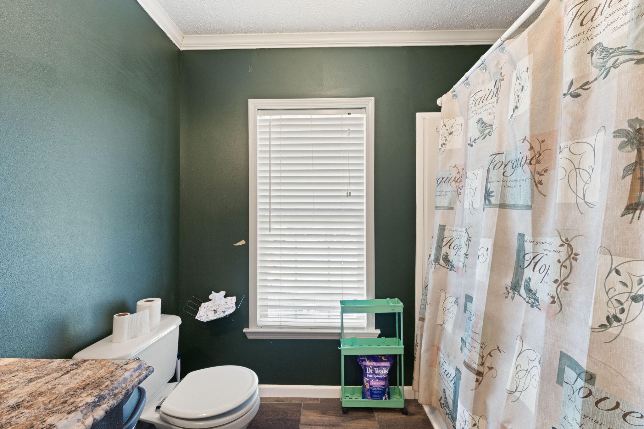 620 Black Pike Property Photo 51