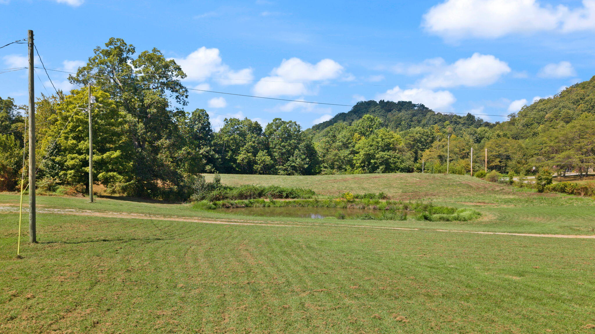 620 Black Pike Property Photo 96