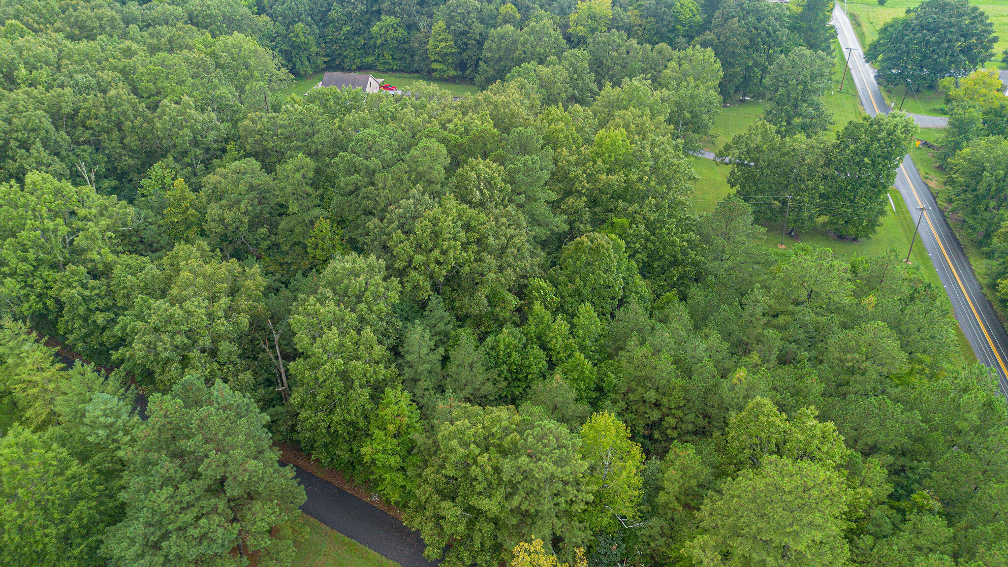 000 Oak Level Road Property Photo 8