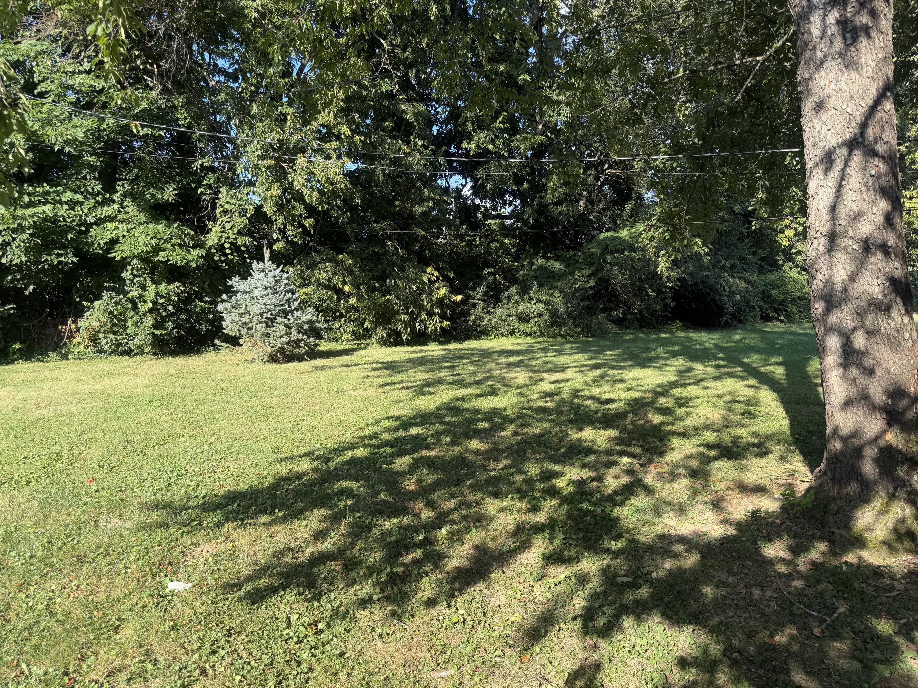 315 Rebel Road Property Photo 13